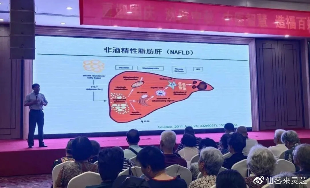 杭州亞運(yùn)會(huì)官方靈芝產(chǎn)品供應(yīng)商|杭州亞運(yùn)會(huì)官方供應(yīng)商|中國(guó)靈芝十大品牌|仙客來(lái)靈芝|仙客來(lái)靈芝破壁孢子粉|仙客來(lái)孢子油|仙客來(lái)靈芝飲片|仙客來(lái)破壁孢子粉|靈芝孢子油|孢子粉|靈芝破壁孢子粉|靈芝|中華老字號(hào) 杭州亞運(yùn)會(huì)官方靈芝產(chǎn)品供應(yīng)商|杭州亞運(yùn)會(huì)官方供應(yīng)商|中國(guó)靈芝十大品牌|仙客來(lái)靈芝|仙客來(lái)靈芝破壁孢子粉|仙客來(lái)孢子油|仙客來(lái)靈芝飲片|仙客來(lái)破壁孢子粉|靈芝孢子油|孢子粉|靈芝破壁孢子粉|靈芝|中華老字號(hào)