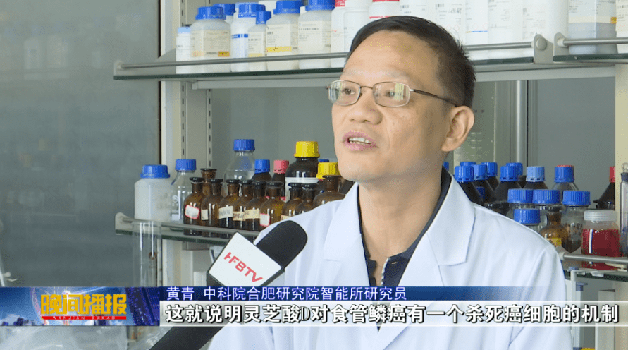 杭州亞運會官方靈芝產(chǎn)品供應商|杭州亞運會官方供應商|中國靈芝十大品牌|仙客來靈芝|仙客來靈芝破壁孢子粉|仙客來孢子油|仙客來靈芝飲片|仙客來破壁孢子粉|靈芝孢子油|孢子粉|靈芝破壁孢子粉|靈芝|中華老字號 杭州亞運會官方靈芝產(chǎn)品供應商|杭州亞運會官方供應商|中國靈芝十大品牌|仙客來靈芝|仙客來靈芝破壁孢子粉|仙客來孢子油|仙客來靈芝飲片|仙客來破壁孢子粉|靈芝孢子油|孢子粉|靈芝破壁孢子粉|靈芝|中華老字號