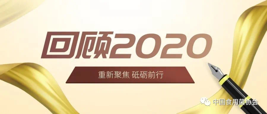 杭州亞運(yùn)會(huì)官方靈芝產(chǎn)品供應(yīng)商|杭州亞運(yùn)會(huì)官方供應(yīng)商|中國靈芝十大品牌|仙客來靈芝|仙客來靈芝破壁孢子粉|仙客來孢子油|仙客來靈芝飲片|仙客來破壁孢子粉|靈芝孢子油|孢子粉|靈芝破壁孢子粉|靈芝|中華老字號(hào) 杭州亞運(yùn)會(huì)官方靈芝產(chǎn)品供應(yīng)商|杭州亞運(yùn)會(huì)官方供應(yīng)商|中國靈芝十大品牌|仙客來靈芝|仙客來靈芝破壁孢子粉|仙客來孢子油|仙客來靈芝飲片|仙客來破壁孢子粉|靈芝孢子油|孢子粉|靈芝破壁孢子粉|靈芝|中華老字號(hào)
