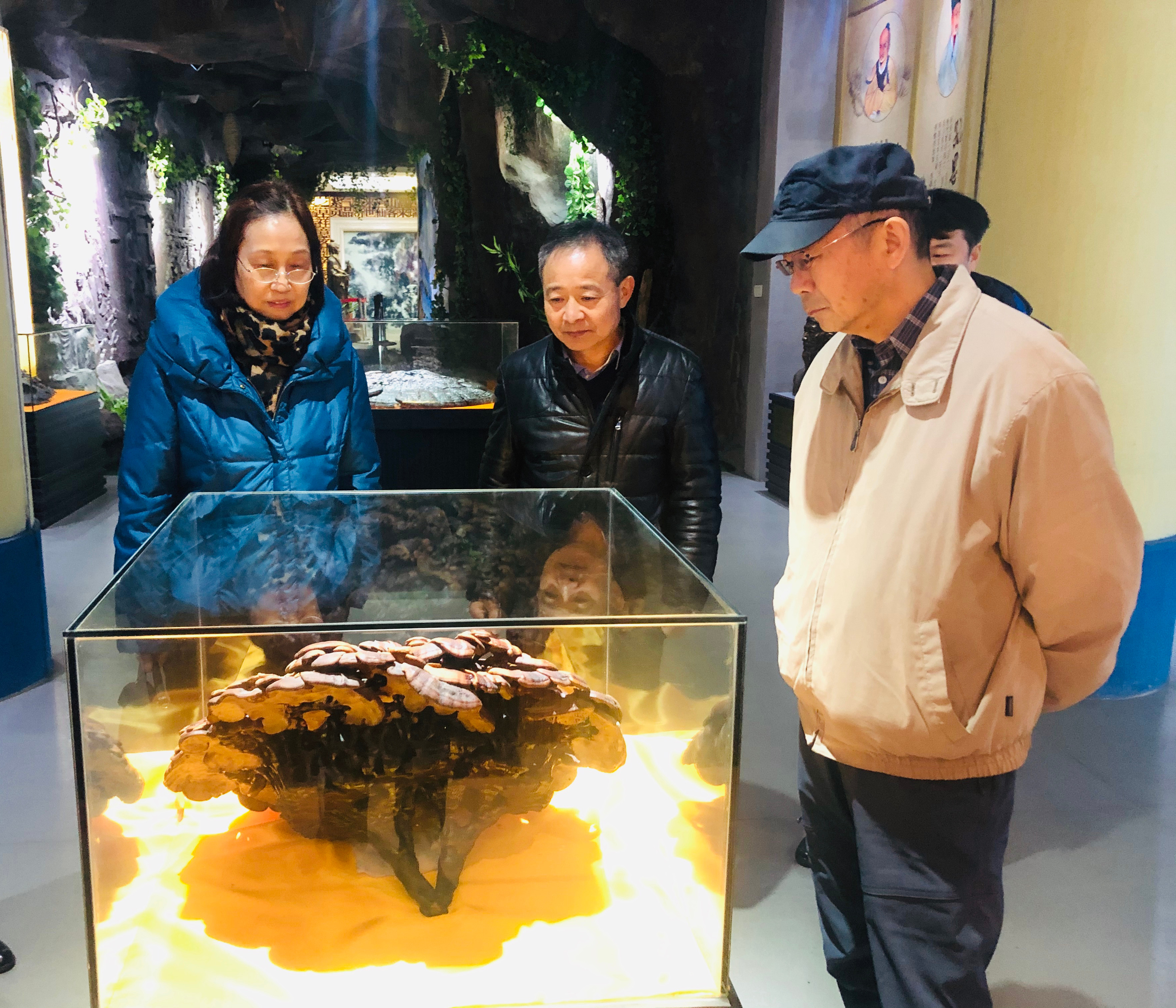 杭州亞運(yùn)會(huì)官方靈芝產(chǎn)品供應(yīng)商|杭州亞運(yùn)會(huì)官方供應(yīng)商|中國(guó)靈芝十大品牌|仙客來(lái)靈芝|仙客來(lái)靈芝破壁孢子粉|仙客來(lái)孢子油|仙客來(lái)靈芝飲片|仙客來(lái)破壁孢子粉|靈芝孢子油|孢子粉|靈芝破壁孢子粉|靈芝|中華老字號(hào) 杭州亞運(yùn)會(huì)官方靈芝產(chǎn)品供應(yīng)商|杭州亞運(yùn)會(huì)官方供應(yīng)商|中國(guó)靈芝十大品牌|仙客來(lái)靈芝|仙客來(lái)靈芝破壁孢子粉|仙客來(lái)孢子油|仙客來(lái)靈芝飲片|仙客來(lái)破壁孢子粉|靈芝孢子油|孢子粉|靈芝破壁孢子粉|靈芝|中華老字號(hào)