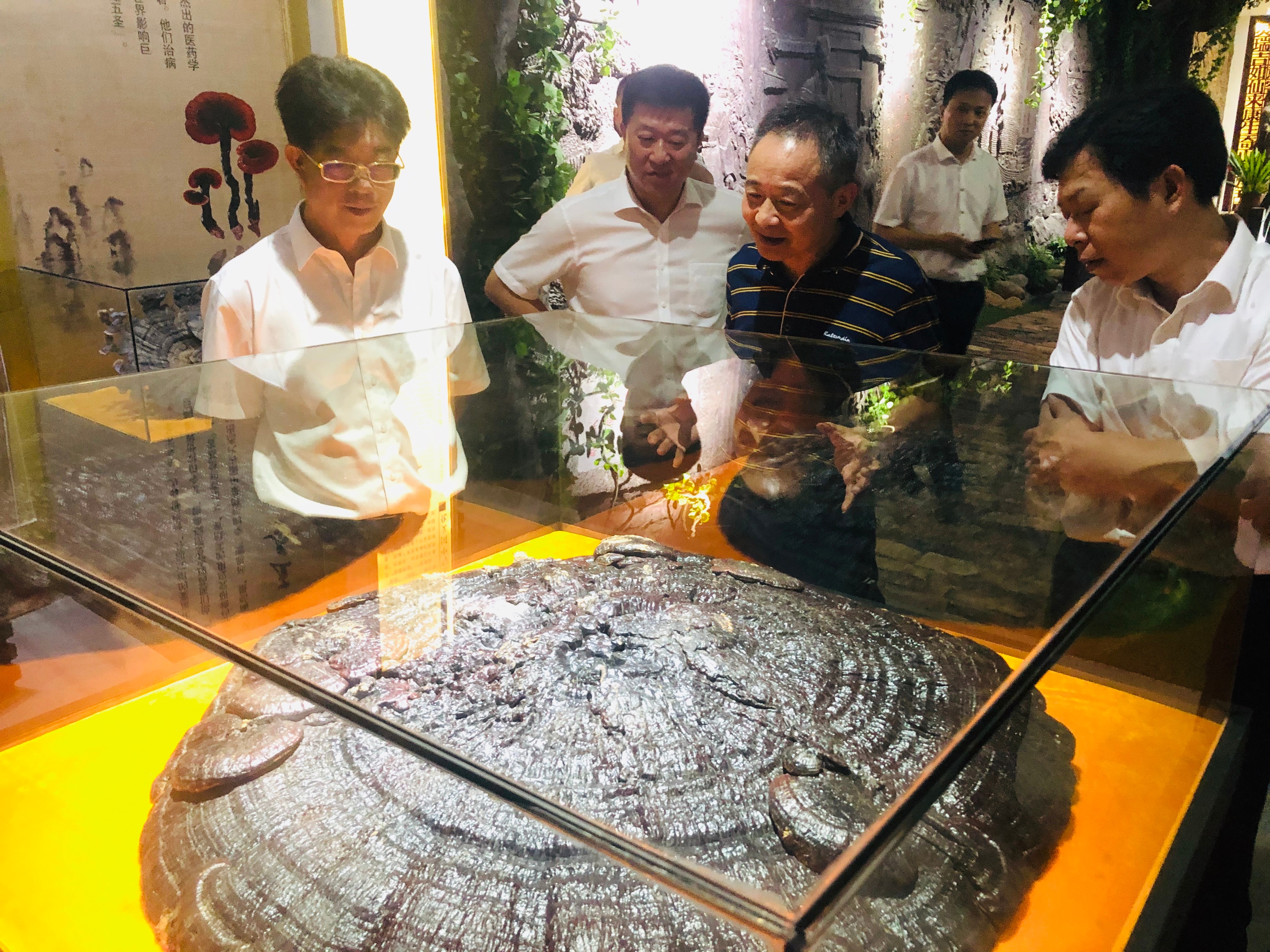 杭州亞運會官方靈芝產(chǎn)品供應(yīng)商|杭州亞運會官方供應(yīng)商|中國靈芝十大品牌|仙客來靈芝|仙客來靈芝破壁孢子粉|仙客來孢子油|仙客來靈芝飲片|仙客來破壁孢子粉|靈芝孢子油|孢子粉|靈芝破壁孢子粉|靈芝|中華老字號 杭州亞運會官方靈芝產(chǎn)品供應(yīng)商|杭州亞運會官方供應(yīng)商|中國靈芝十大品牌|仙客來靈芝|仙客來靈芝破壁孢子粉|仙客來孢子油|仙客來靈芝飲片|仙客來破壁孢子粉|靈芝孢子油|孢子粉|靈芝破壁孢子粉|靈芝|中華老字號