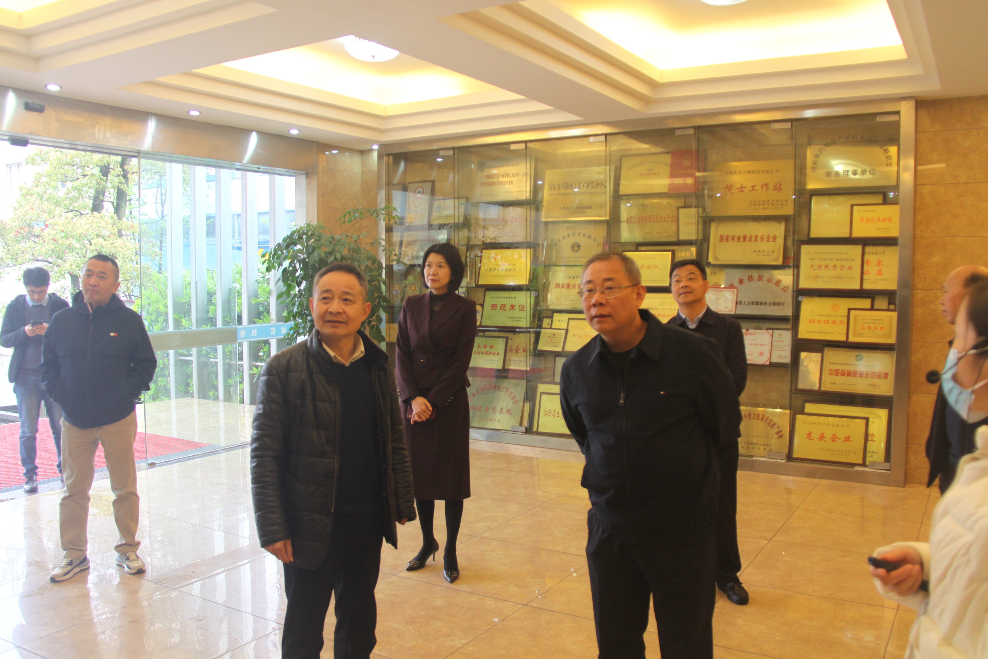 杭州亞運會官方靈芝產品供應商|杭州亞運會官方供應商|中國靈芝十大品牌|仙客來靈芝|仙客來靈芝破壁孢子粉|仙客來孢子油|仙客來靈芝飲片|仙客來破壁孢子粉|靈芝孢子油|孢子粉|靈芝破壁孢子粉|靈芝|中華老字號 杭州亞運會官方靈芝產品供應商|杭州亞運會官方供應商|中國靈芝十大品牌|仙客來靈芝|仙客來靈芝破壁孢子粉|仙客來孢子油|仙客來靈芝飲片|仙客來破壁孢子粉|靈芝孢子油|孢子粉|靈芝破壁孢子粉|靈芝|中華老字號