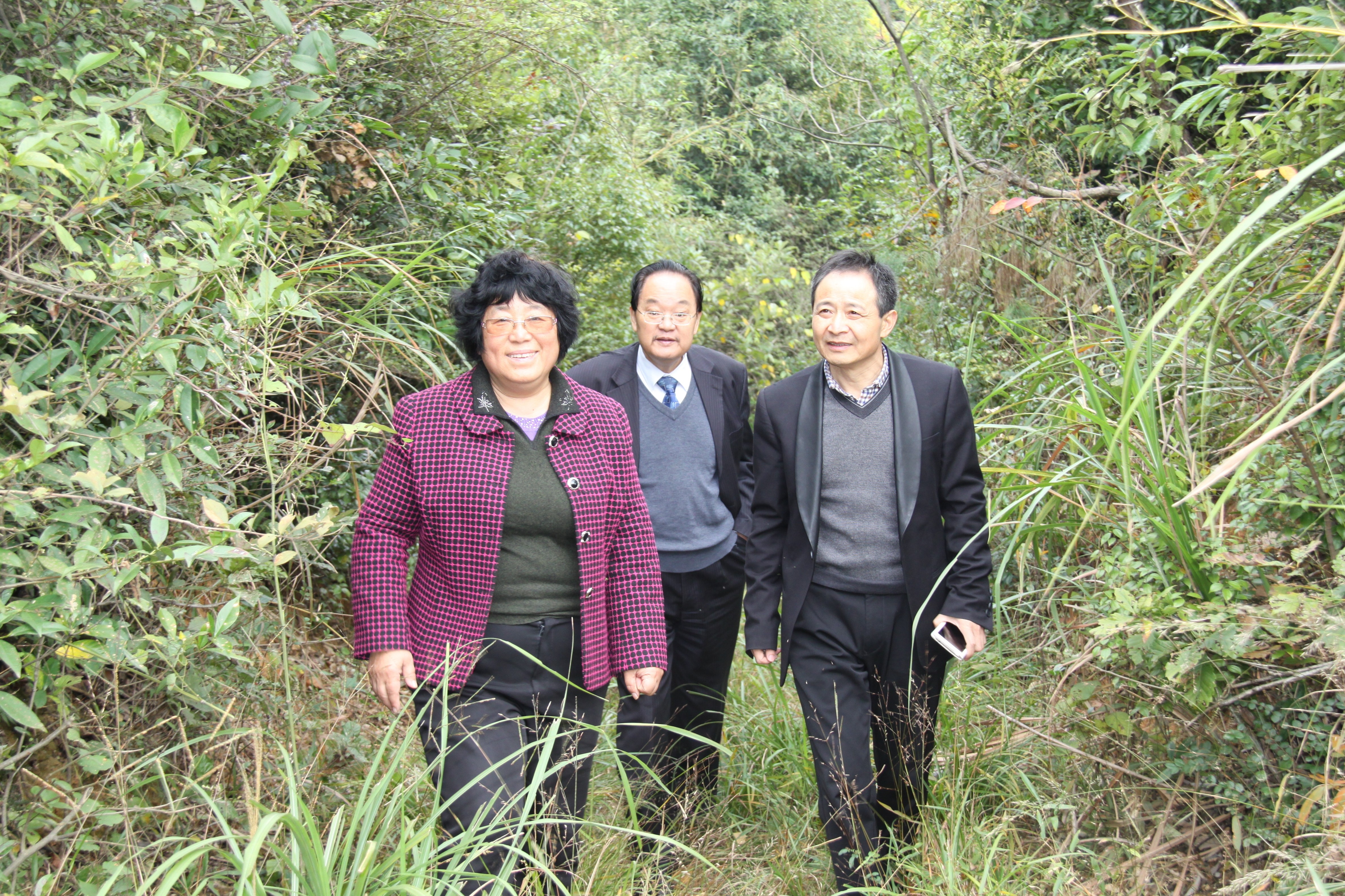 杭州亞運會官方靈芝產品供應商|杭州亞運會官方供應商|中國靈芝十大品牌|仙客來靈芝|仙客來靈芝破壁孢子粉|仙客來孢子油|仙客來靈芝飲片|仙客來破壁孢子粉|靈芝孢子油|孢子粉|靈芝破壁孢子粉|靈芝|中華老字號 杭州亞運會官方靈芝產品供應商|杭州亞運會官方供應商|中國靈芝十大品牌|仙客來靈芝|仙客來靈芝破壁孢子粉|仙客來孢子油|仙客來靈芝飲片|仙客來破壁孢子粉|靈芝孢子油|孢子粉|靈芝破壁孢子粉|靈芝|中華老字號