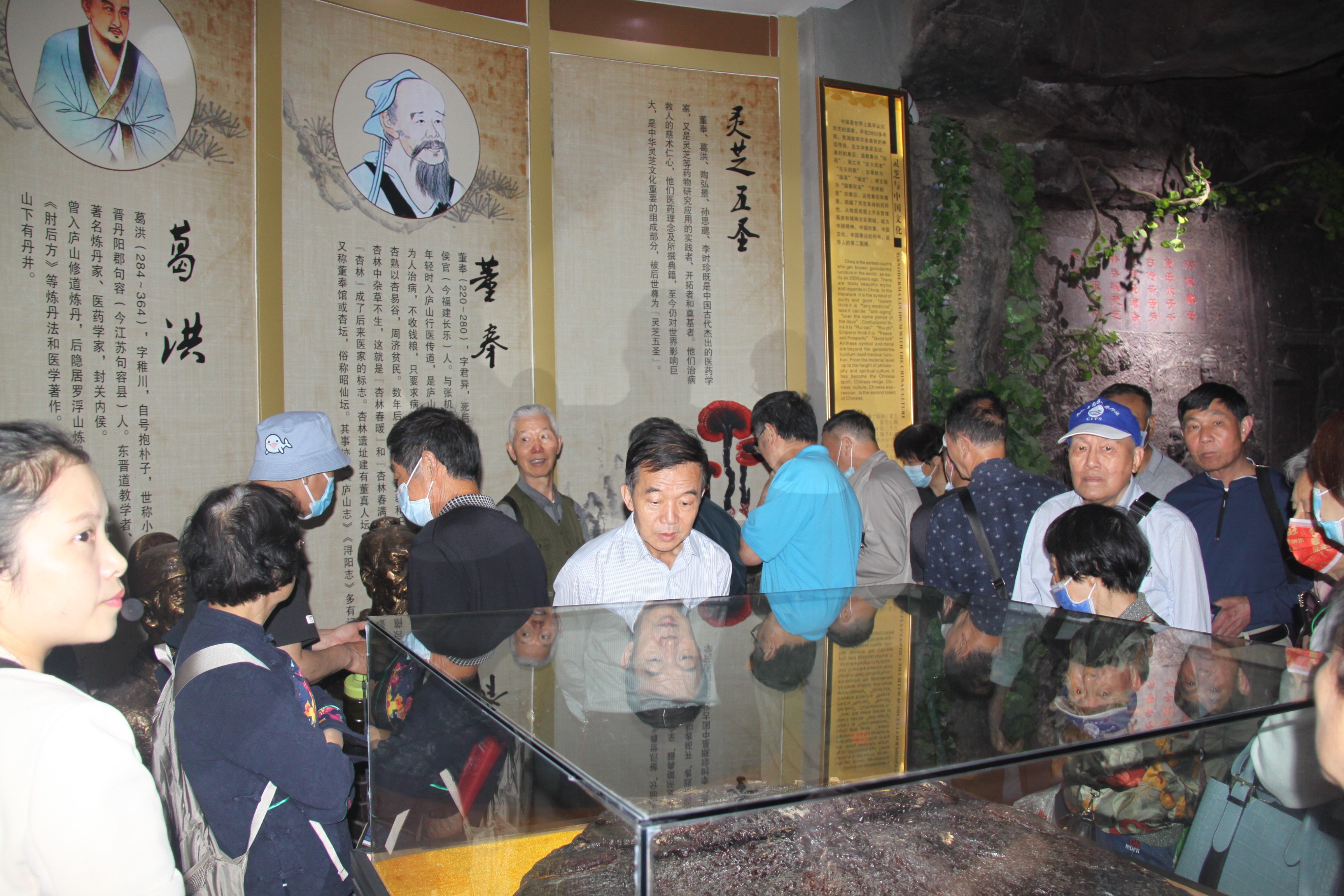 杭州亞運會官方靈芝產(chǎn)品供應商|杭州亞運會官方供應商|中國靈芝十大品牌|仙客來靈芝|仙客來靈芝破壁孢子粉|仙客來孢子油|仙客來靈芝飲片|仙客來破壁孢子粉|靈芝孢子油|孢子粉|靈芝破壁孢子粉|靈芝|中華老字號 杭州亞運會官方靈芝產(chǎn)品供應商|杭州亞運會官方供應商|中國靈芝十大品牌|仙客來靈芝|仙客來靈芝破壁孢子粉|仙客來孢子油|仙客來靈芝飲片|仙客來破壁孢子粉|靈芝孢子油|孢子粉|靈芝破壁孢子粉|靈芝|中華老字號