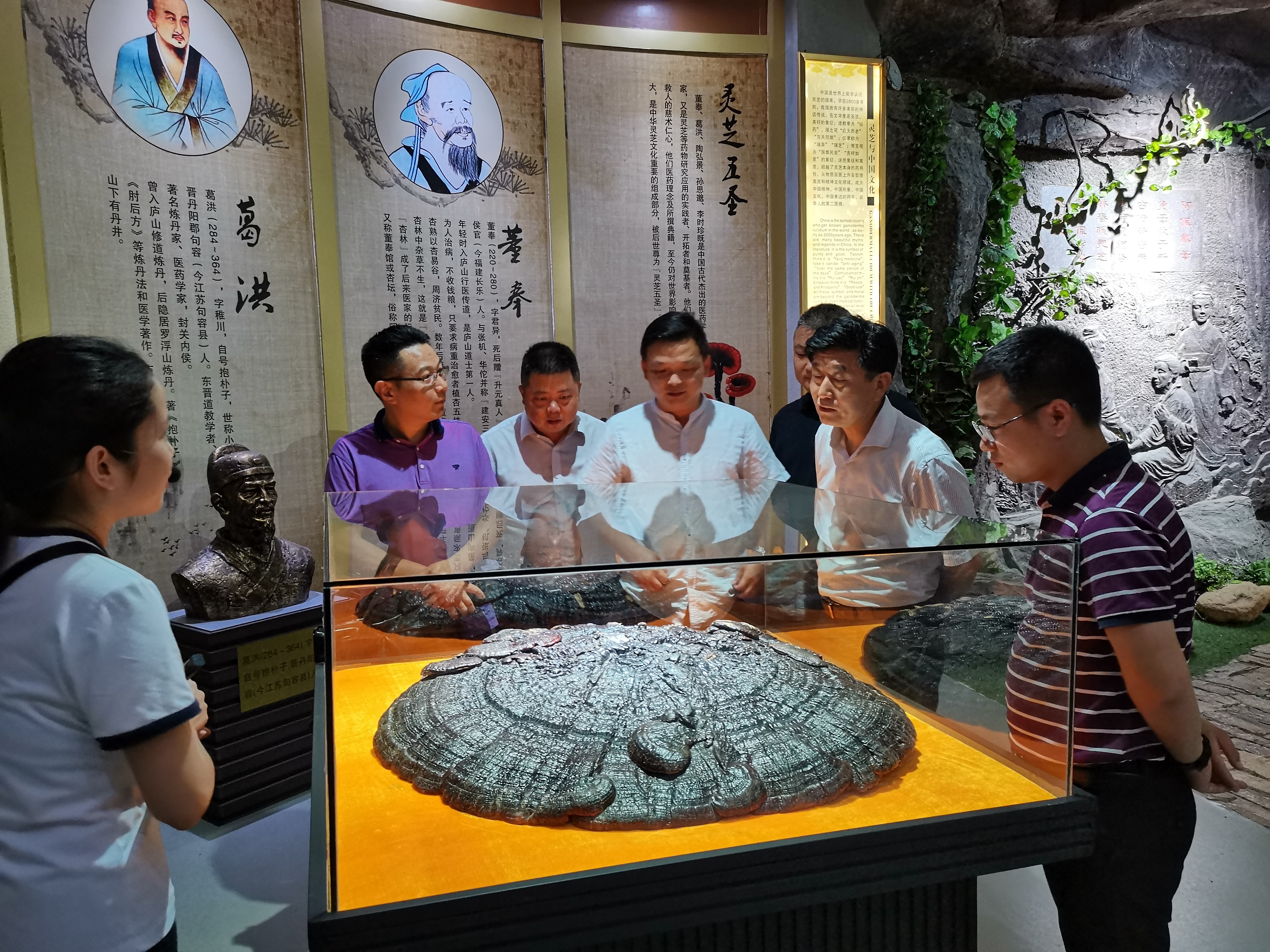 杭州亞運會官方靈芝產(chǎn)品供應商|杭州亞運會官方供應商|中國靈芝十大品牌|仙客來靈芝|仙客來靈芝破壁孢子粉|仙客來孢子油|仙客來靈芝飲片|仙客來破壁孢子粉|靈芝孢子油|孢子粉|靈芝破壁孢子粉|靈芝|中華老字號 杭州亞運會官方靈芝產(chǎn)品供應商|杭州亞運會官方供應商|中國靈芝十大品牌|仙客來靈芝|仙客來靈芝破壁孢子粉|仙客來孢子油|仙客來靈芝飲片|仙客來破壁孢子粉|靈芝孢子油|孢子粉|靈芝破壁孢子粉|靈芝|中華老字號