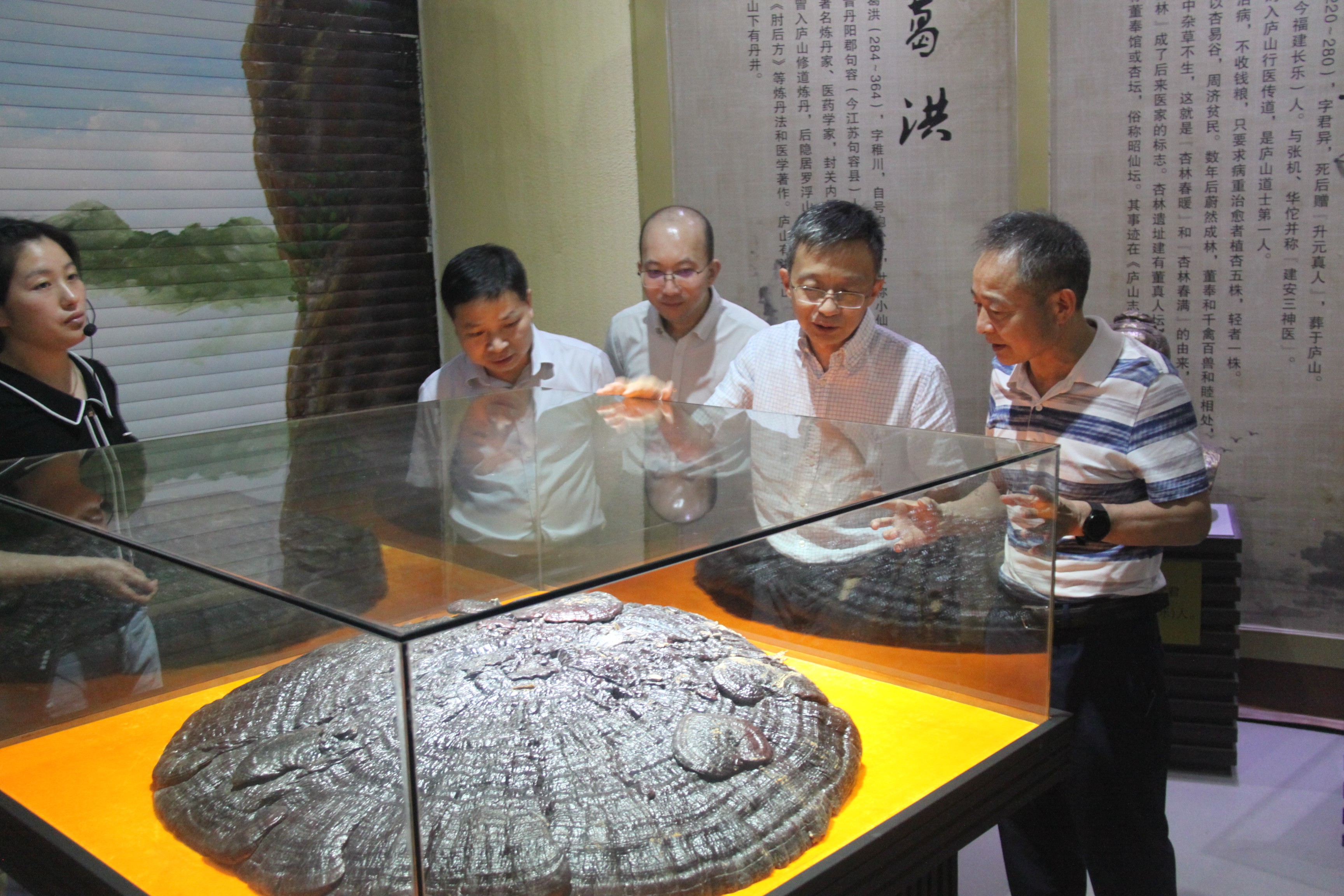 杭州亞運(yùn)會(huì)官方靈芝產(chǎn)品供應(yīng)商|杭州亞運(yùn)會(huì)官方供應(yīng)商|中國(guó)靈芝十大品牌|仙客來(lái)靈芝|仙客來(lái)靈芝破壁孢子粉|仙客來(lái)孢子油|仙客來(lái)靈芝飲片|仙客來(lái)破壁孢子粉|靈芝孢子油|孢子粉|靈芝破壁孢子粉|靈芝|中華老字號(hào) 杭州亞運(yùn)會(huì)官方靈芝產(chǎn)品供應(yīng)商|杭州亞運(yùn)會(huì)官方供應(yīng)商|中國(guó)靈芝十大品牌|仙客來(lái)靈芝|仙客來(lái)靈芝破壁孢子粉|仙客來(lái)孢子油|仙客來(lái)靈芝飲片|仙客來(lái)破壁孢子粉|靈芝孢子油|孢子粉|靈芝破壁孢子粉|靈芝|中華老字號(hào)