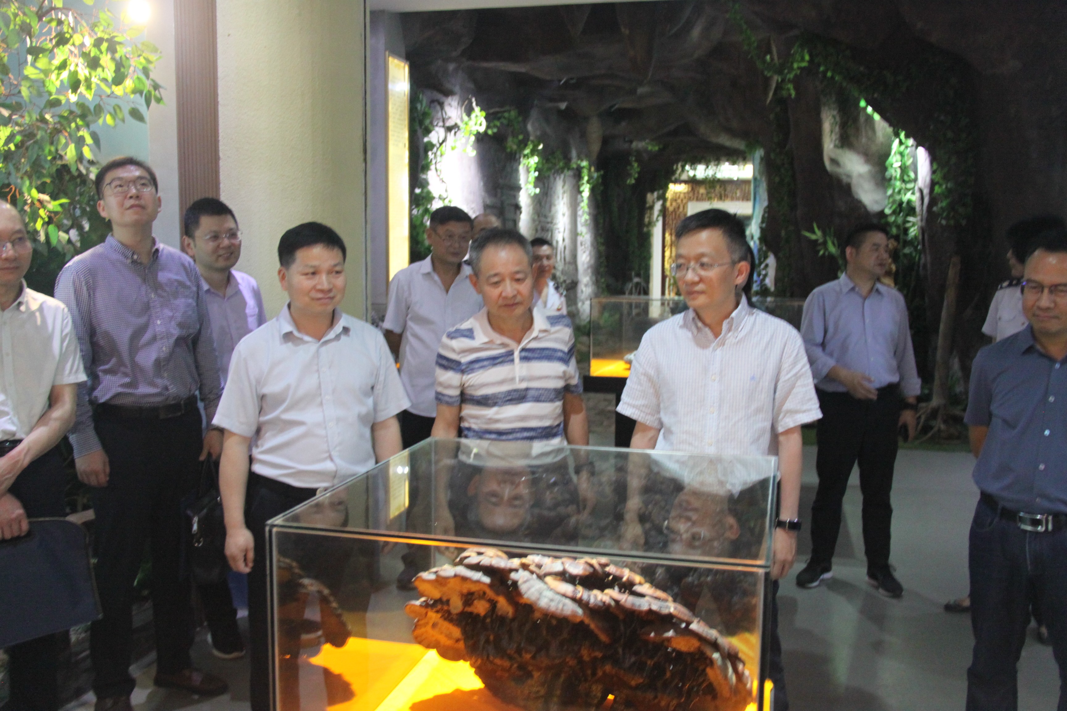 杭州亞運(yùn)會(huì)官方靈芝產(chǎn)品供應(yīng)商|杭州亞運(yùn)會(huì)官方供應(yīng)商|中國(guó)靈芝十大品牌|仙客來(lái)靈芝|仙客來(lái)靈芝破壁孢子粉|仙客來(lái)孢子油|仙客來(lái)靈芝飲片|仙客來(lái)破壁孢子粉|靈芝孢子油|孢子粉|靈芝破壁孢子粉|靈芝|中華老字號(hào) 杭州亞運(yùn)會(huì)官方靈芝產(chǎn)品供應(yīng)商|杭州亞運(yùn)會(huì)官方供應(yīng)商|中國(guó)靈芝十大品牌|仙客來(lái)靈芝|仙客來(lái)靈芝破壁孢子粉|仙客來(lái)孢子油|仙客來(lái)靈芝飲片|仙客來(lái)破壁孢子粉|靈芝孢子油|孢子粉|靈芝破壁孢子粉|靈芝|中華老字號(hào)