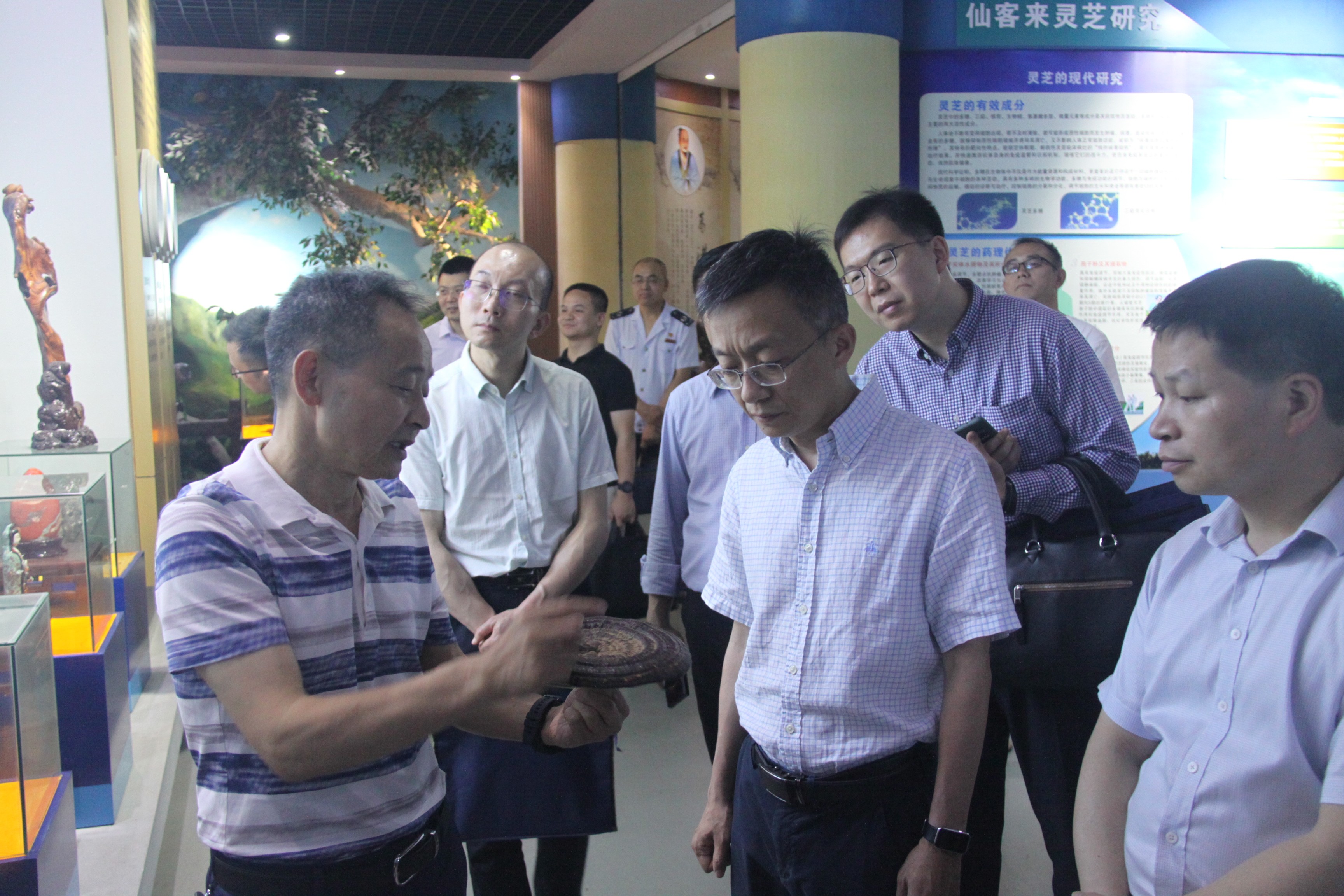 杭州亞運(yùn)會(huì)官方靈芝產(chǎn)品供應(yīng)商|杭州亞運(yùn)會(huì)官方供應(yīng)商|中國(guó)靈芝十大品牌|仙客來(lái)靈芝|仙客來(lái)靈芝破壁孢子粉|仙客來(lái)孢子油|仙客來(lái)靈芝飲片|仙客來(lái)破壁孢子粉|靈芝孢子油|孢子粉|靈芝破壁孢子粉|靈芝|中華老字號(hào) 杭州亞運(yùn)會(huì)官方靈芝產(chǎn)品供應(yīng)商|杭州亞運(yùn)會(huì)官方供應(yīng)商|中國(guó)靈芝十大品牌|仙客來(lái)靈芝|仙客來(lái)靈芝破壁孢子粉|仙客來(lái)孢子油|仙客來(lái)靈芝飲片|仙客來(lái)破壁孢子粉|靈芝孢子油|孢子粉|靈芝破壁孢子粉|靈芝|中華老字號(hào)