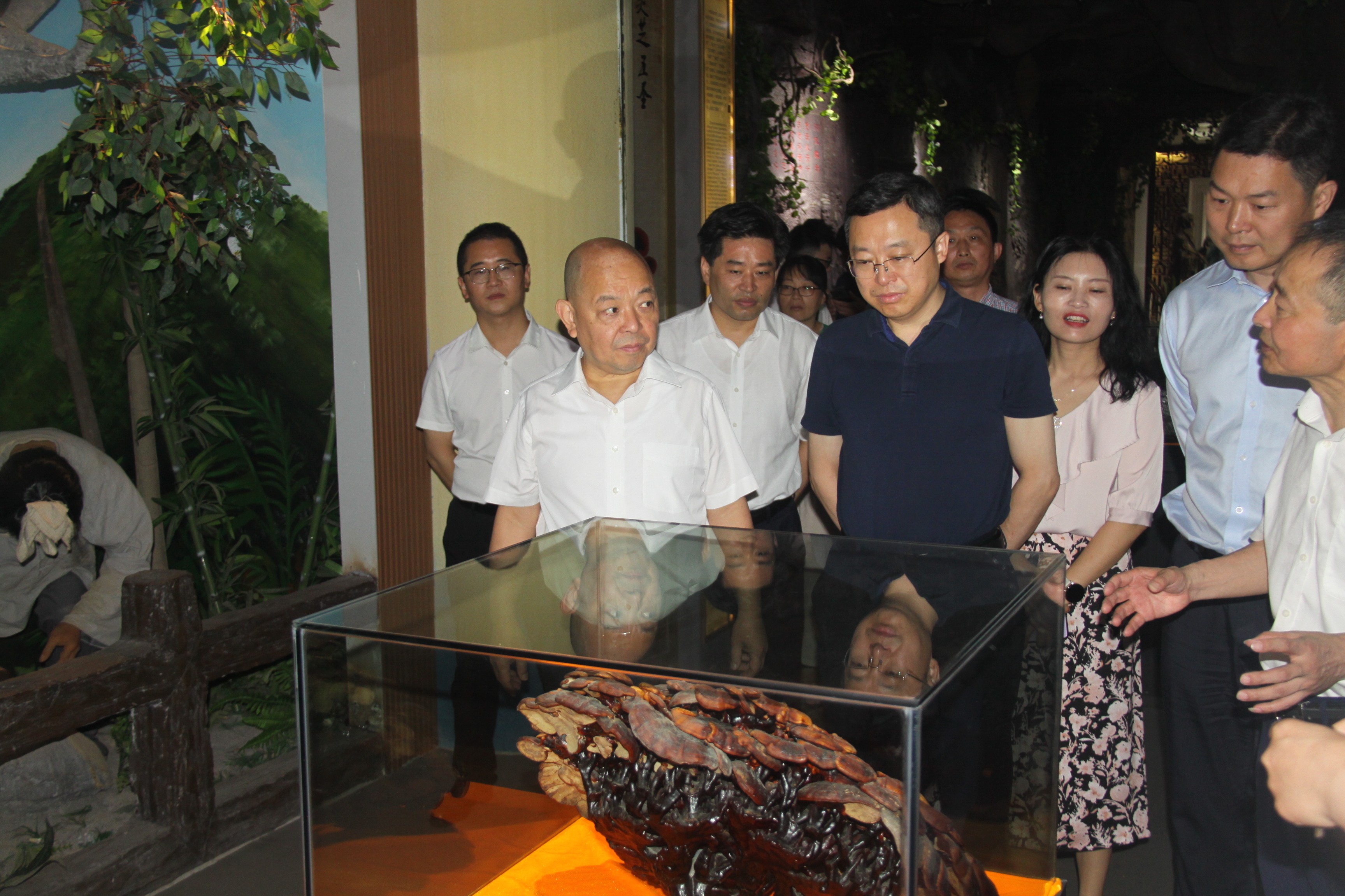 杭州亞運會官方靈芝產(chǎn)品供應(yīng)商|杭州亞運會官方供應(yīng)商|中國靈芝十大品牌|仙客來靈芝|仙客來靈芝破壁孢子粉|仙客來孢子油|仙客來靈芝飲片|仙客來破壁孢子粉|靈芝孢子油|孢子粉|靈芝破壁孢子粉|靈芝|中華老字號