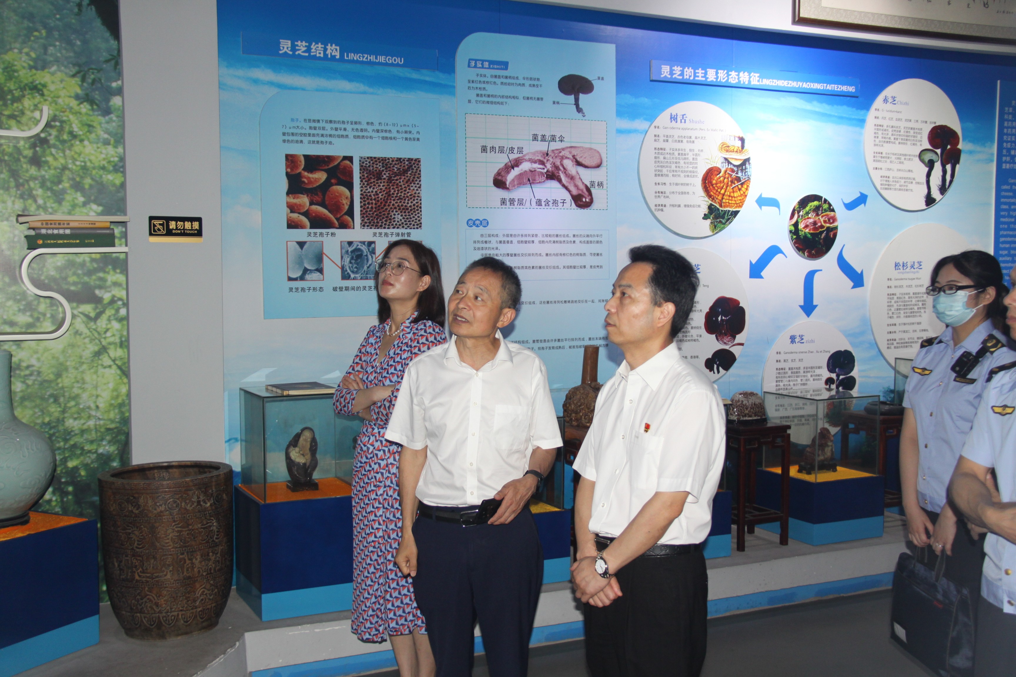 杭州亞運(yùn)會官方靈芝產(chǎn)品供應(yīng)商|杭州亞運(yùn)會官方供應(yīng)商|中國靈芝十大品牌|仙客來靈芝|仙客來靈芝破壁孢子粉|仙客來孢子油|仙客來靈芝飲片|仙客來破壁孢子粉|靈芝孢子油|孢子粉|靈芝破壁孢子粉|靈芝|中華老字號 杭州亞運(yùn)會官方靈芝產(chǎn)品供應(yīng)商|杭州亞運(yùn)會官方供應(yīng)商|中國靈芝十大品牌|仙客來靈芝|仙客來靈芝破壁孢子粉|仙客來孢子油|仙客來靈芝飲片|仙客來破壁孢子粉|靈芝孢子油|孢子粉|靈芝破壁孢子粉|靈芝|中華老字號