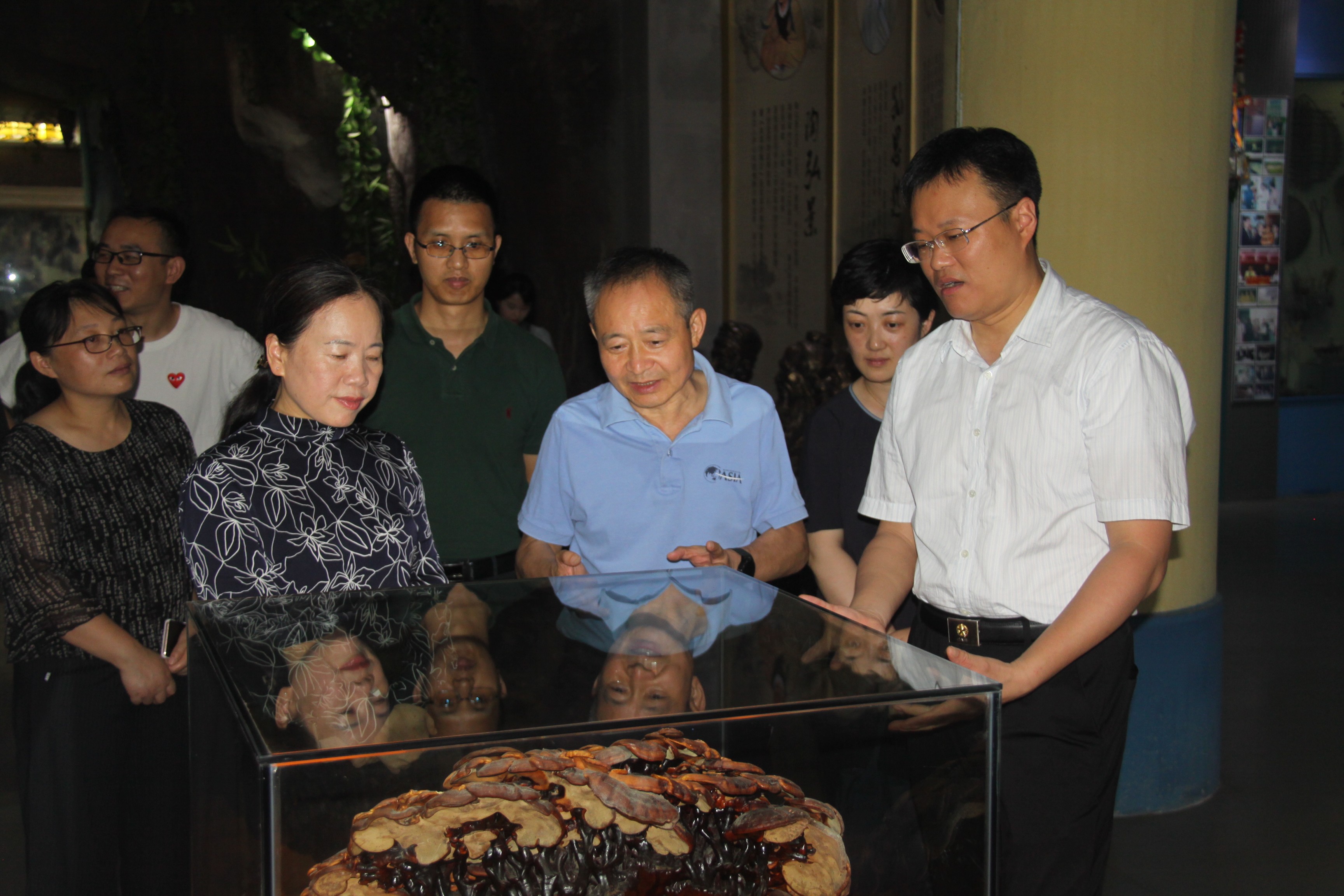 杭州亞運(yùn)會(huì)官方靈芝產(chǎn)品供應(yīng)商|杭州亞運(yùn)會(huì)官方供應(yīng)商|中國(guó)靈芝十大品牌|仙客來(lái)靈芝|仙客來(lái)靈芝破壁孢子粉|仙客來(lái)孢子油|仙客來(lái)靈芝飲片|仙客來(lái)破壁孢子粉|靈芝孢子油|孢子粉|靈芝破壁孢子粉|靈芝|中華老字號(hào)