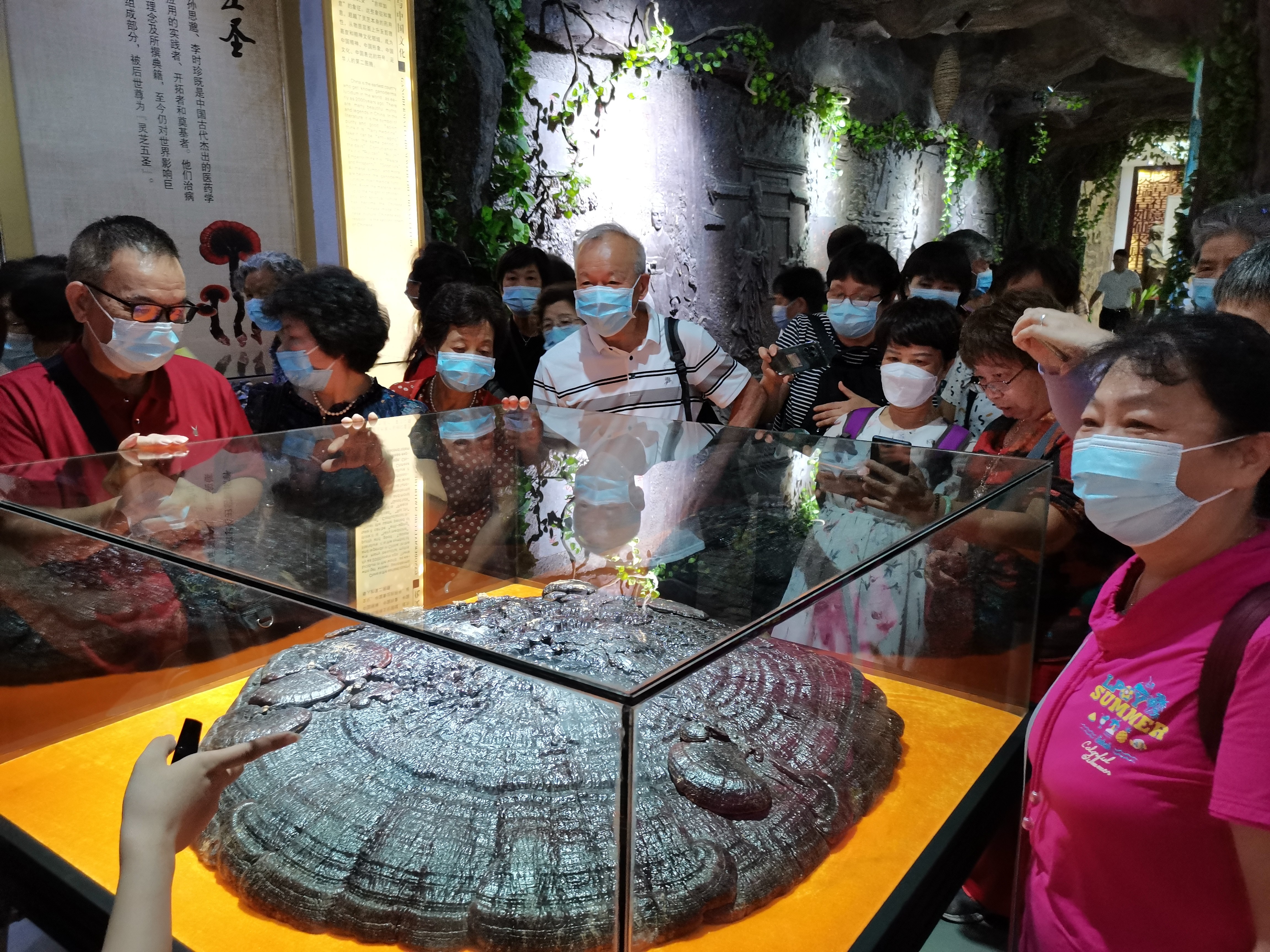 杭州亞運(yùn)會(huì)官方靈芝產(chǎn)品供應(yīng)商|杭州亞運(yùn)會(huì)官方供應(yīng)商|中國靈芝十大品牌|仙客來靈芝|仙客來靈芝破壁孢子粉|仙客來孢子油|仙客來靈芝飲片|仙客來破壁孢子粉|靈芝孢子油|孢子粉|靈芝破壁孢子粉|靈芝|中華老字號(hào) 杭州亞運(yùn)會(huì)官方靈芝產(chǎn)品供應(yīng)商|杭州亞運(yùn)會(huì)官方供應(yīng)商|中國靈芝十大品牌|仙客來靈芝|仙客來靈芝破壁孢子粉|仙客來孢子油|仙客來靈芝飲片|仙客來破壁孢子粉|靈芝孢子油|孢子粉|靈芝破壁孢子粉|靈芝|中華老字號(hào)