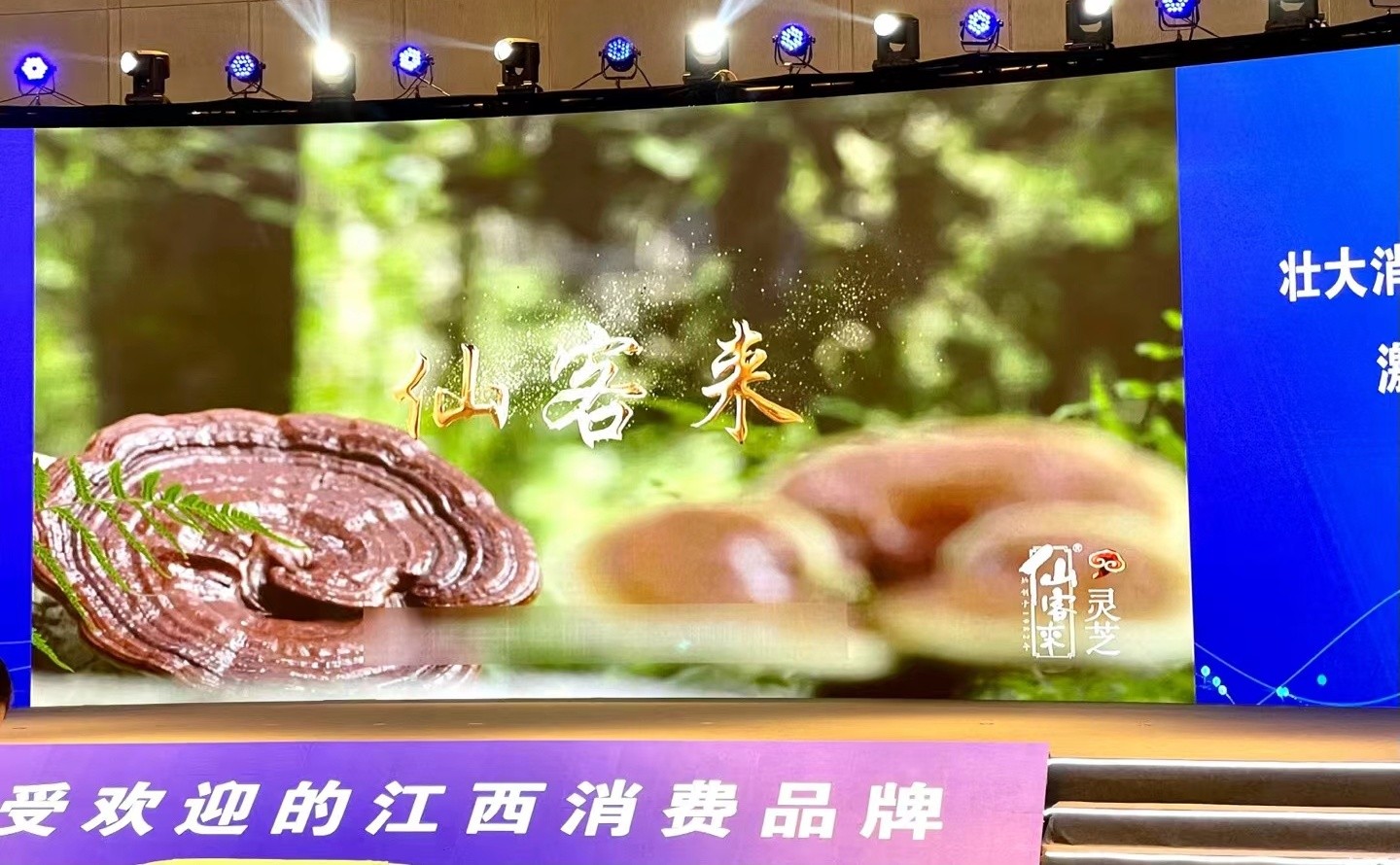 杭州亞運會官方靈芝產(chǎn)品供應商|杭州亞運會官方供應商|中國靈芝十大品牌|仙客來靈芝|仙客來靈芝破壁孢子粉|仙客來孢子油|仙客來靈芝飲片|仙客來破壁孢子粉|靈芝孢子油|孢子粉|靈芝破壁孢子粉|靈芝|中華老字號 杭州亞運會官方靈芝產(chǎn)品供應商|杭州亞運會官方供應商|中國靈芝十大品牌|仙客來靈芝|仙客來靈芝破壁孢子粉|仙客來孢子油|仙客來靈芝飲片|仙客來破壁孢子粉|靈芝孢子油|孢子粉|靈芝破壁孢子粉|靈芝|中華老字號