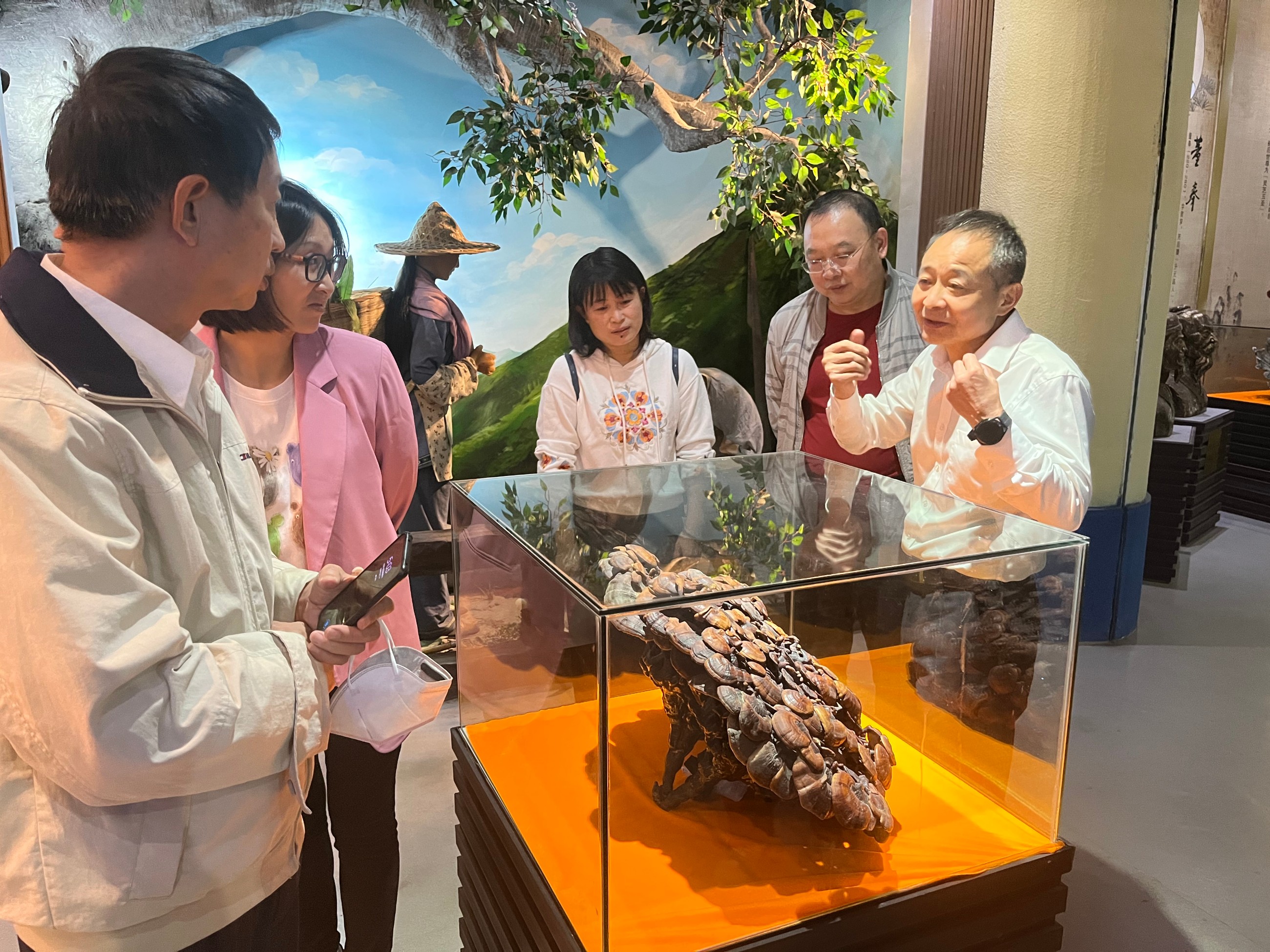 杭州亞運(yùn)會(huì)官方靈芝產(chǎn)品供應(yīng)商|杭州亞運(yùn)會(huì)官方供應(yīng)商|中國靈芝十大品牌|仙客來靈芝|仙客來靈芝破壁孢子粉|仙客來孢子油|仙客來靈芝飲片|仙客來破壁孢子粉|靈芝孢子油|孢子粉|靈芝破壁孢子粉|靈芝|中華老字號 杭州亞運(yùn)會(huì)官方靈芝產(chǎn)品供應(yīng)商|杭州亞運(yùn)會(huì)官方供應(yīng)商|中國靈芝十大品牌|仙客來靈芝|仙客來靈芝破壁孢子粉|仙客來孢子油|仙客來靈芝飲片|仙客來破壁孢子粉|靈芝孢子油|孢子粉|靈芝破壁孢子粉|靈芝|中華老字號