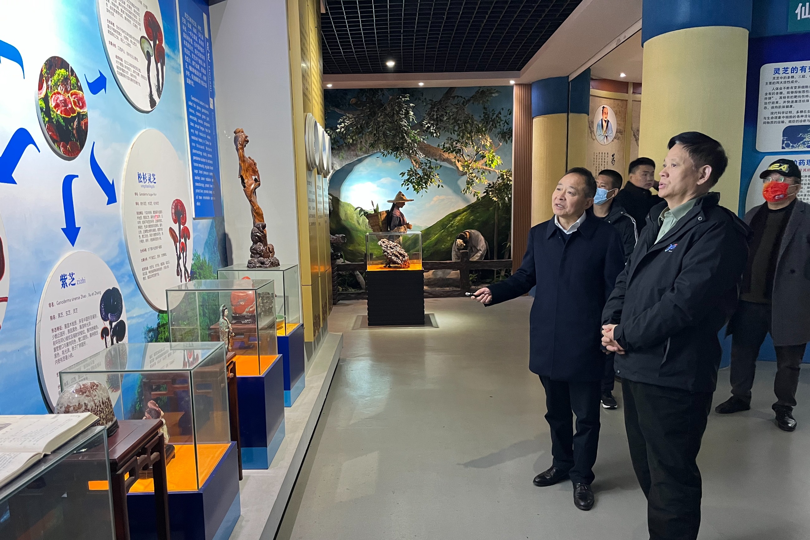 杭州亞運(yùn)會官方靈芝產(chǎn)品供應(yīng)商|杭州亞運(yùn)會官方供應(yīng)商|中國靈芝十大品牌|仙客來靈芝|仙客來靈芝破壁孢子粉|仙客來孢子油|仙客來靈芝飲片|仙客來破壁孢子粉|靈芝孢子油|孢子粉|靈芝破壁孢子粉|靈芝|中華老字號 杭州亞運(yùn)會官方靈芝產(chǎn)品供應(yīng)商|杭州亞運(yùn)會官方供應(yīng)商|中國靈芝十大品牌|仙客來靈芝|仙客來靈芝破壁孢子粉|仙客來孢子油|仙客來靈芝飲片|仙客來破壁孢子粉|靈芝孢子油|孢子粉|靈芝破壁孢子粉|靈芝|中華老字號