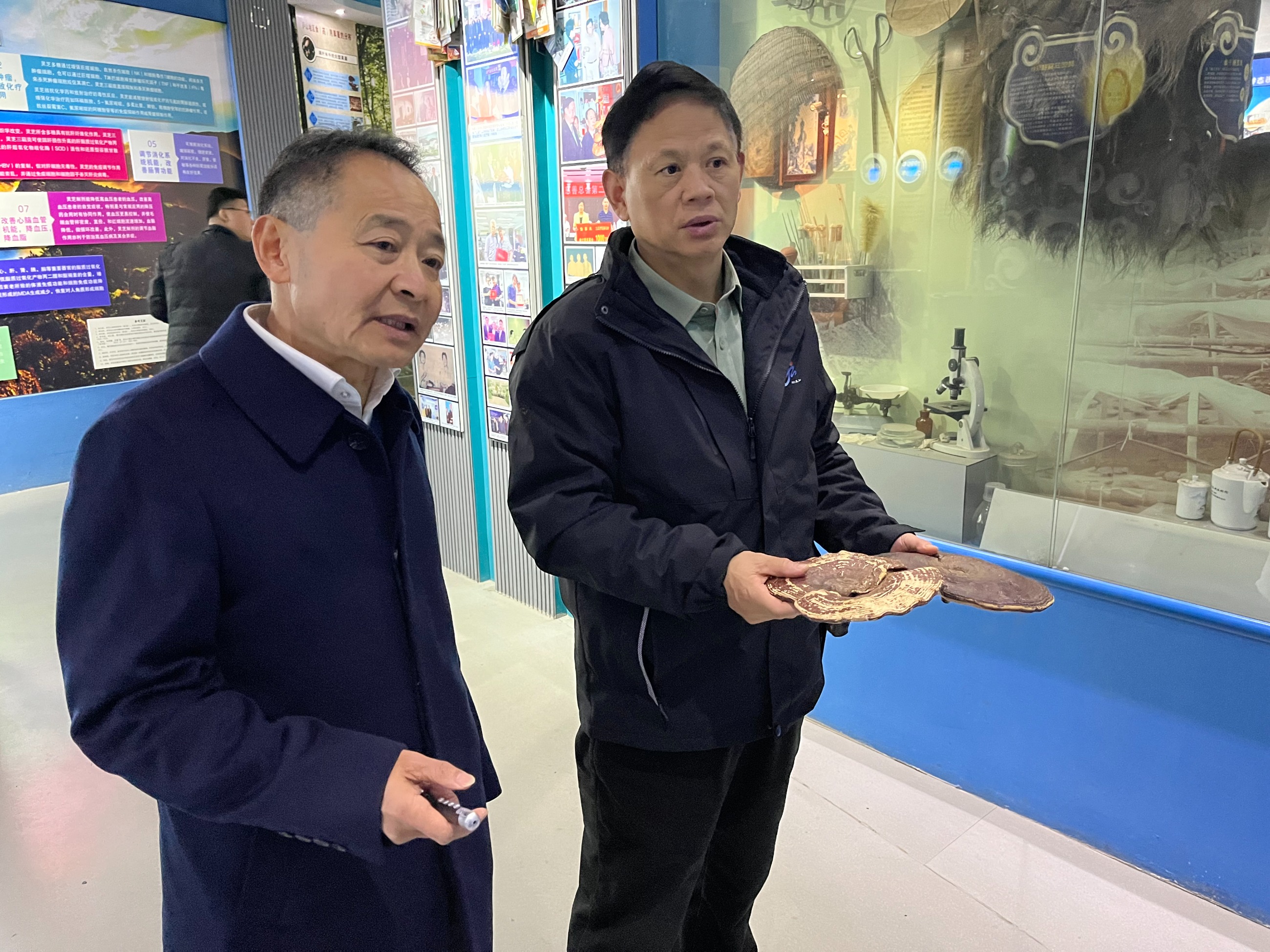 杭州亞運(yùn)會官方靈芝產(chǎn)品供應(yīng)商|杭州亞運(yùn)會官方供應(yīng)商|中國靈芝十大品牌|仙客來靈芝|仙客來靈芝破壁孢子粉|仙客來孢子油|仙客來靈芝飲片|仙客來破壁孢子粉|靈芝孢子油|孢子粉|靈芝破壁孢子粉|靈芝|中華老字號 杭州亞運(yùn)會官方靈芝產(chǎn)品供應(yīng)商|杭州亞運(yùn)會官方供應(yīng)商|中國靈芝十大品牌|仙客來靈芝|仙客來靈芝破壁孢子粉|仙客來孢子油|仙客來靈芝飲片|仙客來破壁孢子粉|靈芝孢子油|孢子粉|靈芝破壁孢子粉|靈芝|中華老字號