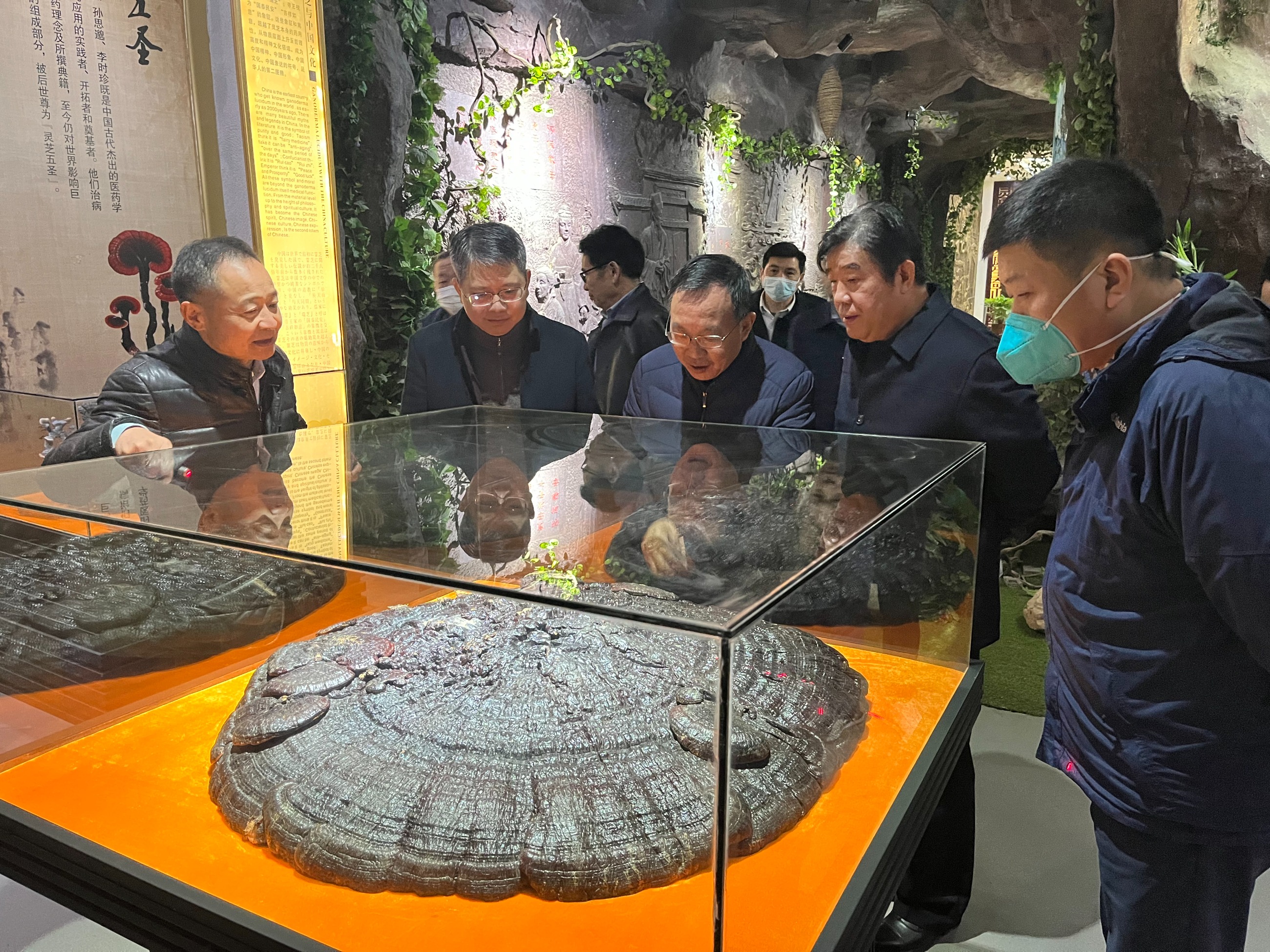 杭州亞運會官方靈芝產(chǎn)品供應商|杭州亞運會官方供應商|中國靈芝十大品牌|仙客來靈芝|仙客來靈芝破壁孢子粉|仙客來孢子油|仙客來靈芝飲片|仙客來破壁孢子粉|靈芝孢子油|孢子粉|靈芝破壁孢子粉|靈芝|中華老字號 杭州亞運會官方靈芝產(chǎn)品供應商|杭州亞運會官方供應商|中國靈芝十大品牌|仙客來靈芝|仙客來靈芝破壁孢子粉|仙客來孢子油|仙客來靈芝飲片|仙客來破壁孢子粉|靈芝孢子油|孢子粉|靈芝破壁孢子粉|靈芝|中華老字號