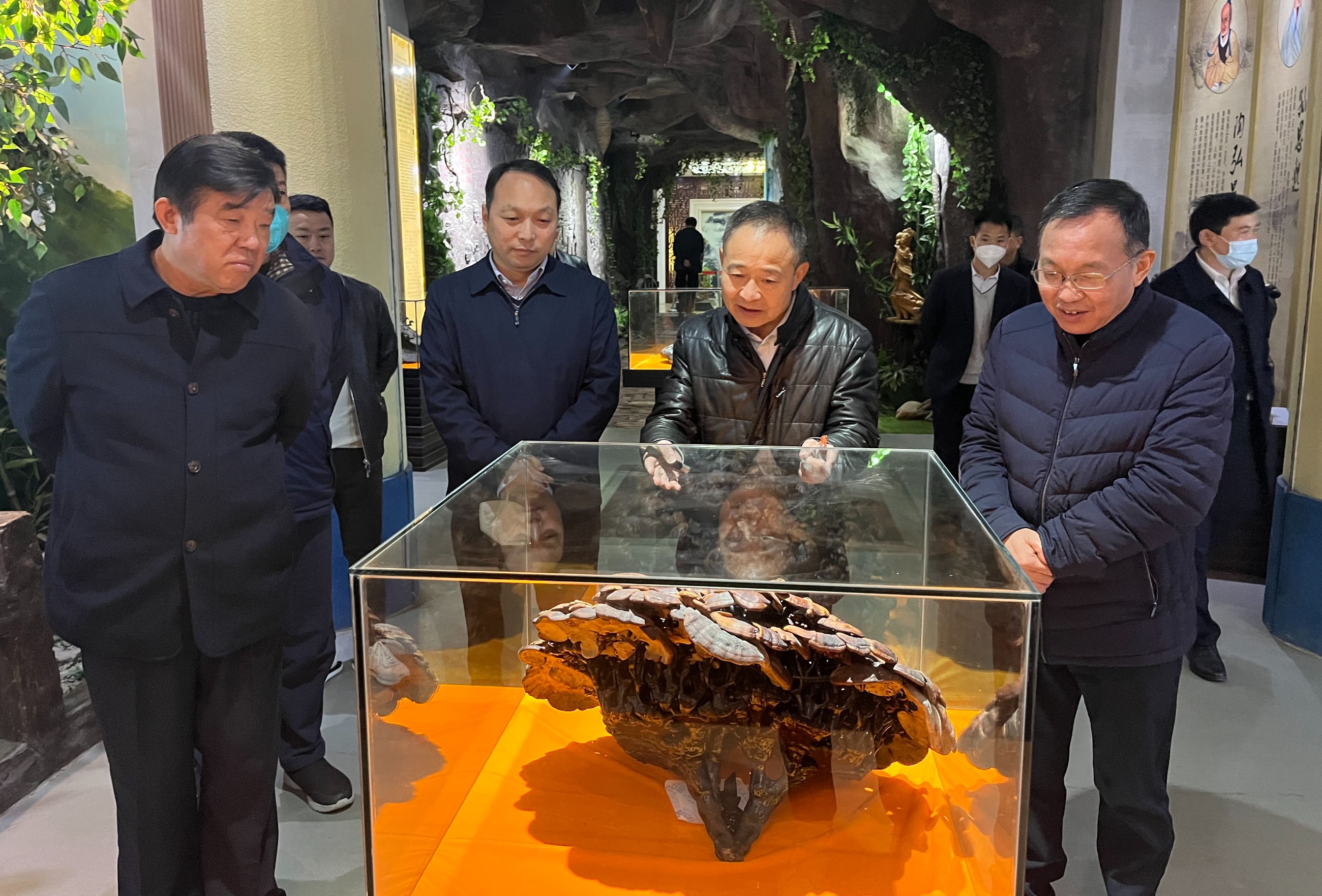 杭州亞運會官方靈芝產(chǎn)品供應商|杭州亞運會官方供應商|中國靈芝十大品牌|仙客來靈芝|仙客來靈芝破壁孢子粉|仙客來孢子油|仙客來靈芝飲片|仙客來破壁孢子粉|靈芝孢子油|孢子粉|靈芝破壁孢子粉|靈芝|中華老字號 杭州亞運會官方靈芝產(chǎn)品供應商|杭州亞運會官方供應商|中國靈芝十大品牌|仙客來靈芝|仙客來靈芝破壁孢子粉|仙客來孢子油|仙客來靈芝飲片|仙客來破壁孢子粉|靈芝孢子油|孢子粉|靈芝破壁孢子粉|靈芝|中華老字號