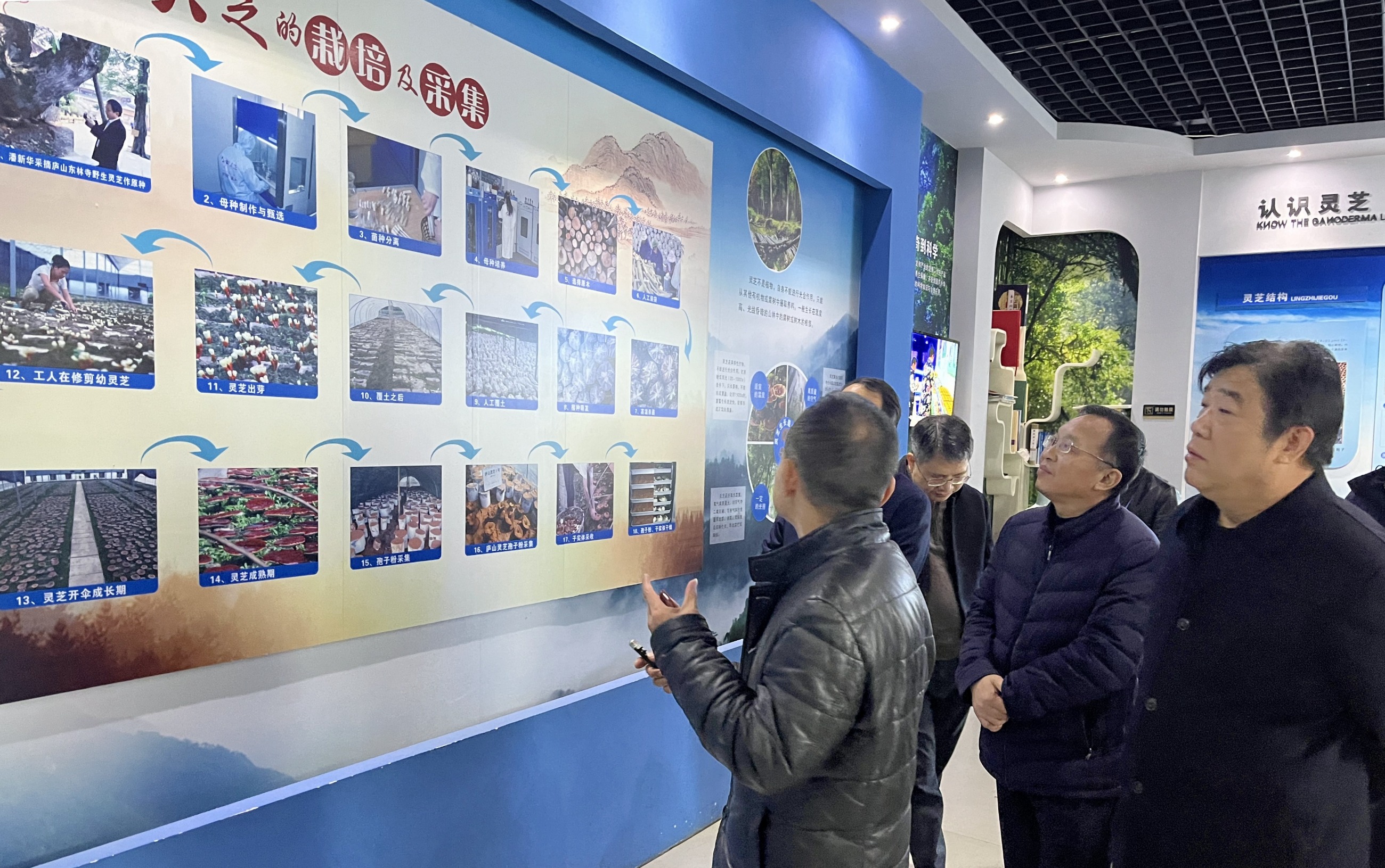 杭州亞運會官方靈芝產(chǎn)品供應商|杭州亞運會官方供應商|中國靈芝十大品牌|仙客來靈芝|仙客來靈芝破壁孢子粉|仙客來孢子油|仙客來靈芝飲片|仙客來破壁孢子粉|靈芝孢子油|孢子粉|靈芝破壁孢子粉|靈芝|中華老字號 杭州亞運會官方靈芝產(chǎn)品供應商|杭州亞運會官方供應商|中國靈芝十大品牌|仙客來靈芝|仙客來靈芝破壁孢子粉|仙客來孢子油|仙客來靈芝飲片|仙客來破壁孢子粉|靈芝孢子油|孢子粉|靈芝破壁孢子粉|靈芝|中華老字號