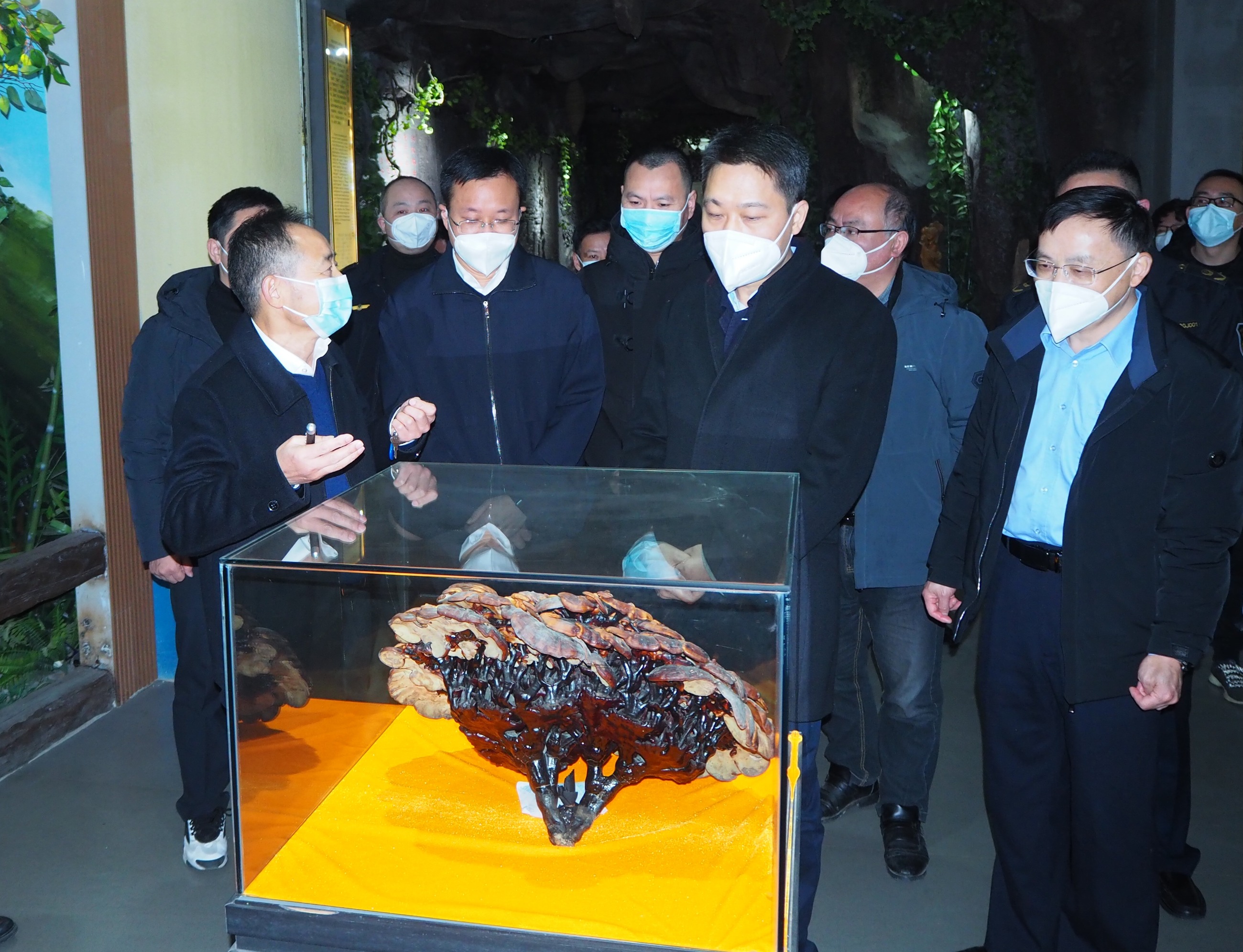 杭州亞運(yùn)會官方靈芝產(chǎn)品供應(yīng)商|杭州亞運(yùn)會官方供應(yīng)商|中國靈芝十大品牌|仙客來靈芝|仙客來靈芝破壁孢子粉|仙客來孢子油|仙客來靈芝飲片|仙客來破壁孢子粉|靈芝孢子油|孢子粉|靈芝破壁孢子粉|靈芝|中華老字號 杭州亞運(yùn)會官方靈芝產(chǎn)品供應(yīng)商|杭州亞運(yùn)會官方供應(yīng)商|中國靈芝十大品牌|仙客來靈芝|仙客來靈芝破壁孢子粉|仙客來孢子油|仙客來靈芝飲片|仙客來破壁孢子粉|靈芝孢子油|孢子粉|靈芝破壁孢子粉|靈芝|中華老字號