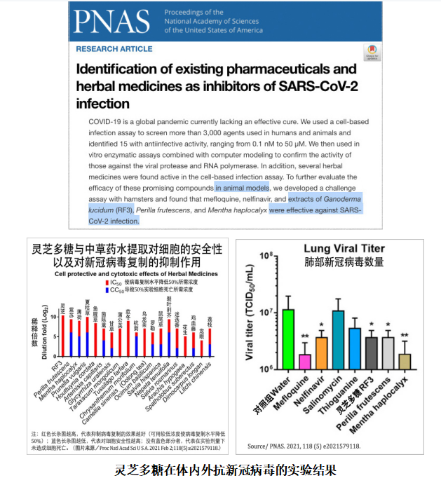 杭州亞運會官方靈芝產(chǎn)品供應商|杭州亞運會官方供應商|中國靈芝十大品牌|仙客來靈芝|仙客來靈芝破壁孢子粉|仙客來孢子油|仙客來靈芝飲片|仙客來破壁孢子粉|靈芝孢子油|孢子粉|靈芝破壁孢子粉|靈芝|中華老字號 杭州亞運會官方靈芝產(chǎn)品供應商|杭州亞運會官方供應商|中國靈芝十大品牌|仙客來靈芝|仙客來靈芝破壁孢子粉|仙客來孢子油|仙客來靈芝飲片|仙客來破壁孢子粉|靈芝孢子油|孢子粉|靈芝破壁孢子粉|靈芝|中華老字號