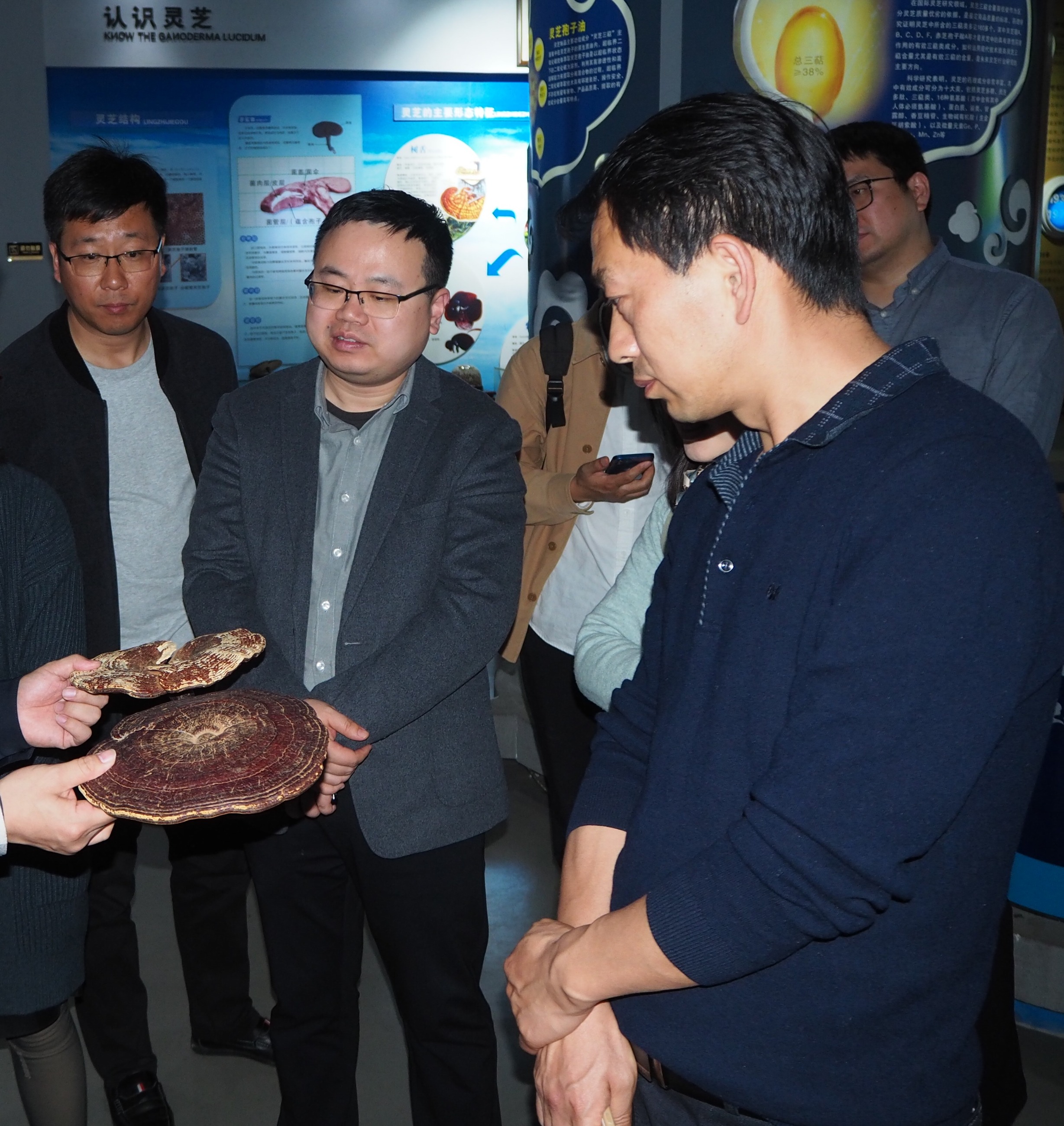 杭州亞運會官方靈芝產(chǎn)品供應(yīng)商|杭州亞運會官方供應(yīng)商|中國靈芝十大品牌|仙客來靈芝|仙客來靈芝破壁孢子粉|仙客來孢子油|仙客來靈芝飲片|仙客來破壁孢子粉|靈芝孢子油|孢子粉|靈芝破壁孢子粉|靈芝|中華老字號 杭州亞運會官方靈芝產(chǎn)品供應(yīng)商|杭州亞運會官方供應(yīng)商|中國靈芝十大品牌|仙客來靈芝|仙客來靈芝破壁孢子粉|仙客來孢子油|仙客來靈芝飲片|仙客來破壁孢子粉|靈芝孢子油|孢子粉|靈芝破壁孢子粉|靈芝|中華老字號