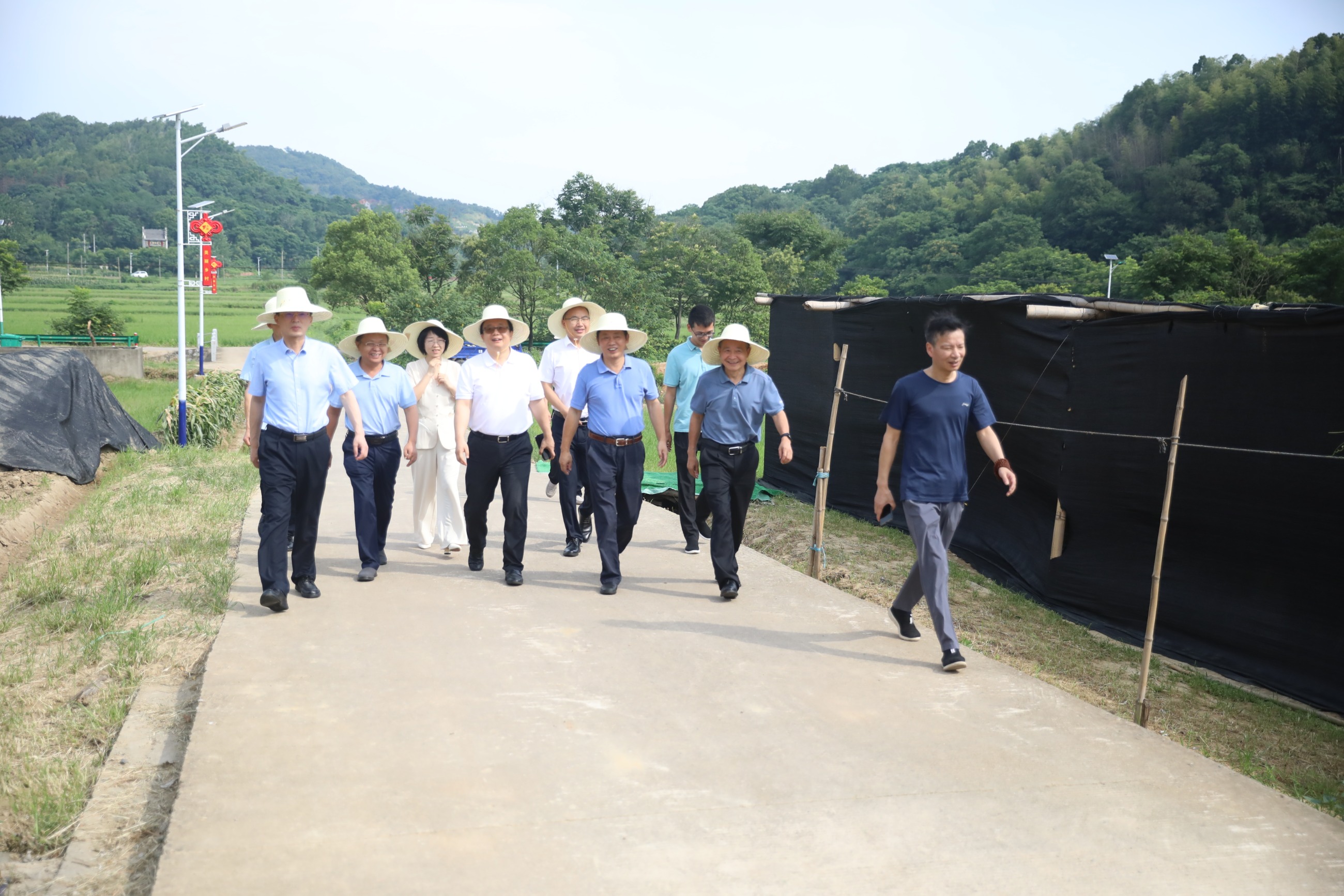 杭州亞運會官方靈芝產品供應商|杭州亞運會官方供應商|中國靈芝十大品牌|仙客來靈芝|仙客來靈芝破壁孢子粉|仙客來孢子油|仙客來靈芝飲片|仙客來破壁孢子粉|靈芝孢子油|孢子粉|靈芝破壁孢子粉|靈芝|中華老字號 杭州亞運會官方靈芝產品供應商|杭州亞運會官方供應商|中國靈芝十大品牌|仙客來靈芝|仙客來靈芝破壁孢子粉|仙客來孢子油|仙客來靈芝飲片|仙客來破壁孢子粉|靈芝孢子油|孢子粉|靈芝破壁孢子粉|靈芝|中華老字號