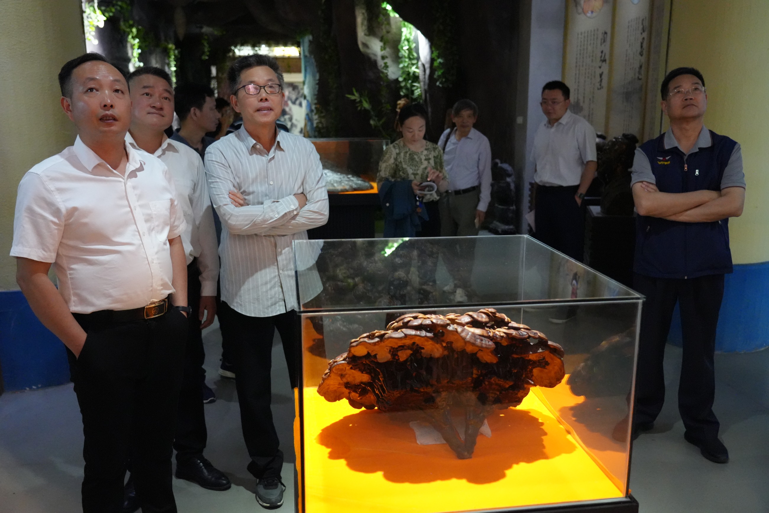 杭州亞運會官方靈芝產(chǎn)品供應(yīng)商|杭州亞運會官方供應(yīng)商|中國靈芝十大品牌|仙客來靈芝|仙客來靈芝破壁孢子粉|仙客來孢子油|仙客來靈芝飲片|仙客來破壁孢子粉|靈芝孢子油|孢子粉|靈芝破壁孢子粉|靈芝|中華老字號 杭州亞運會官方靈芝產(chǎn)品供應(yīng)商|杭州亞運會官方供應(yīng)商|中國靈芝十大品牌|仙客來靈芝|仙客來靈芝破壁孢子粉|仙客來孢子油|仙客來靈芝飲片|仙客來破壁孢子粉|靈芝孢子油|孢子粉|靈芝破壁孢子粉|靈芝|中華老字號