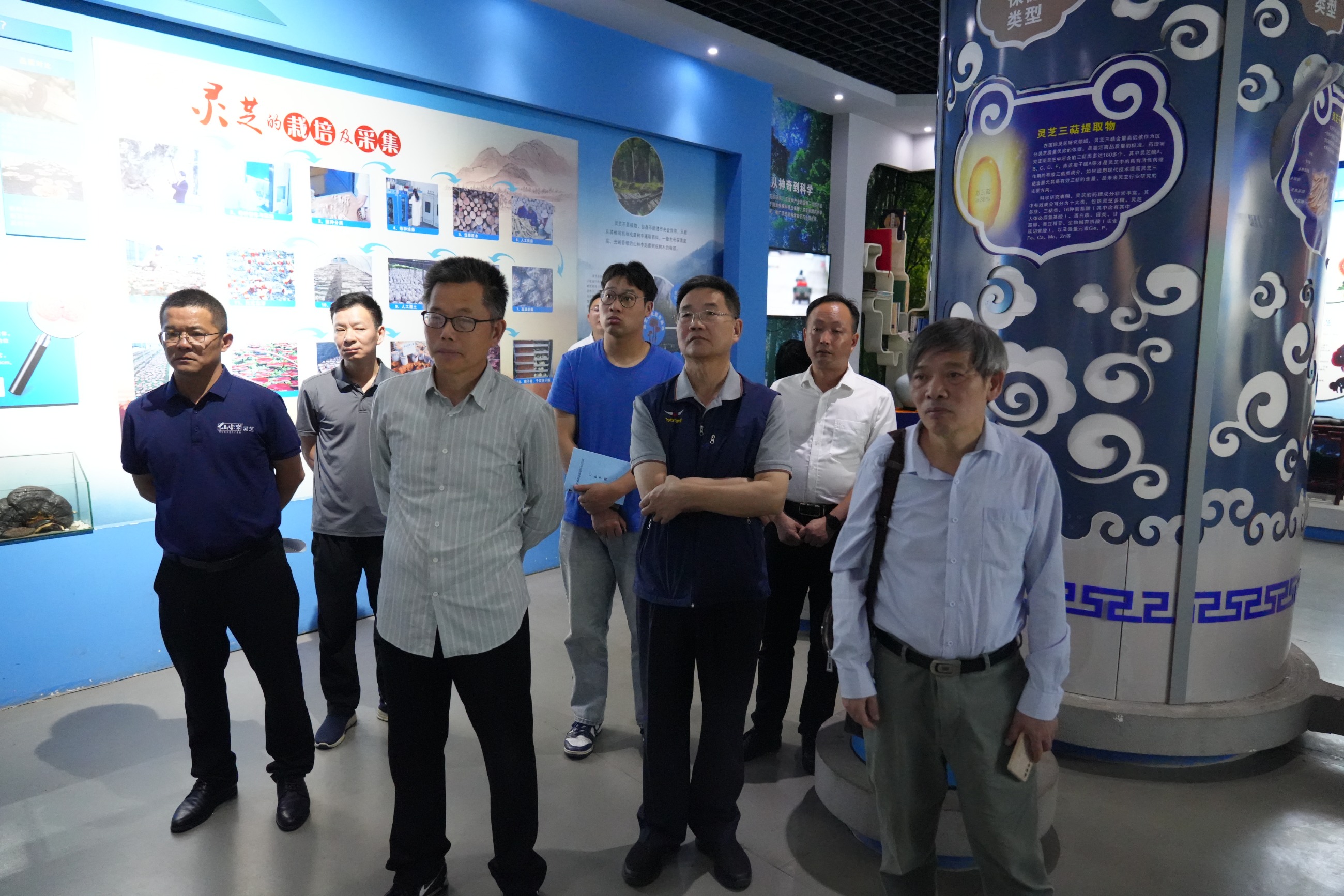 杭州亞運會官方靈芝產(chǎn)品供應(yīng)商|杭州亞運會官方供應(yīng)商|中國靈芝十大品牌|仙客來靈芝|仙客來靈芝破壁孢子粉|仙客來孢子油|仙客來靈芝飲片|仙客來破壁孢子粉|靈芝孢子油|孢子粉|靈芝破壁孢子粉|靈芝|中華老字號 杭州亞運會官方靈芝產(chǎn)品供應(yīng)商|杭州亞運會官方供應(yīng)商|中國靈芝十大品牌|仙客來靈芝|仙客來靈芝破壁孢子粉|仙客來孢子油|仙客來靈芝飲片|仙客來破壁孢子粉|靈芝孢子油|孢子粉|靈芝破壁孢子粉|靈芝|中華老字號