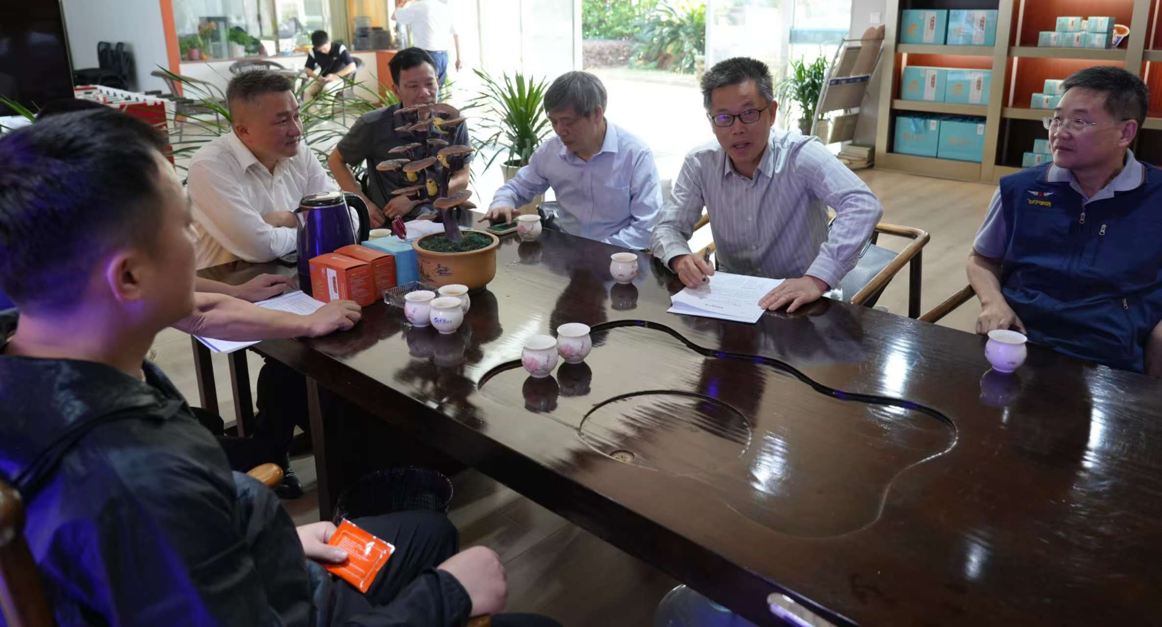 杭州亞運會官方靈芝產(chǎn)品供應(yīng)商|杭州亞運會官方供應(yīng)商|中國靈芝十大品牌|仙客來靈芝|仙客來靈芝破壁孢子粉|仙客來孢子油|仙客來靈芝飲片|仙客來破壁孢子粉|靈芝孢子油|孢子粉|靈芝破壁孢子粉|靈芝|中華老字號 杭州亞運會官方靈芝產(chǎn)品供應(yīng)商|杭州亞運會官方供應(yīng)商|中國靈芝十大品牌|仙客來靈芝|仙客來靈芝破壁孢子粉|仙客來孢子油|仙客來靈芝飲片|仙客來破壁孢子粉|靈芝孢子油|孢子粉|靈芝破壁孢子粉|靈芝|中華老字號