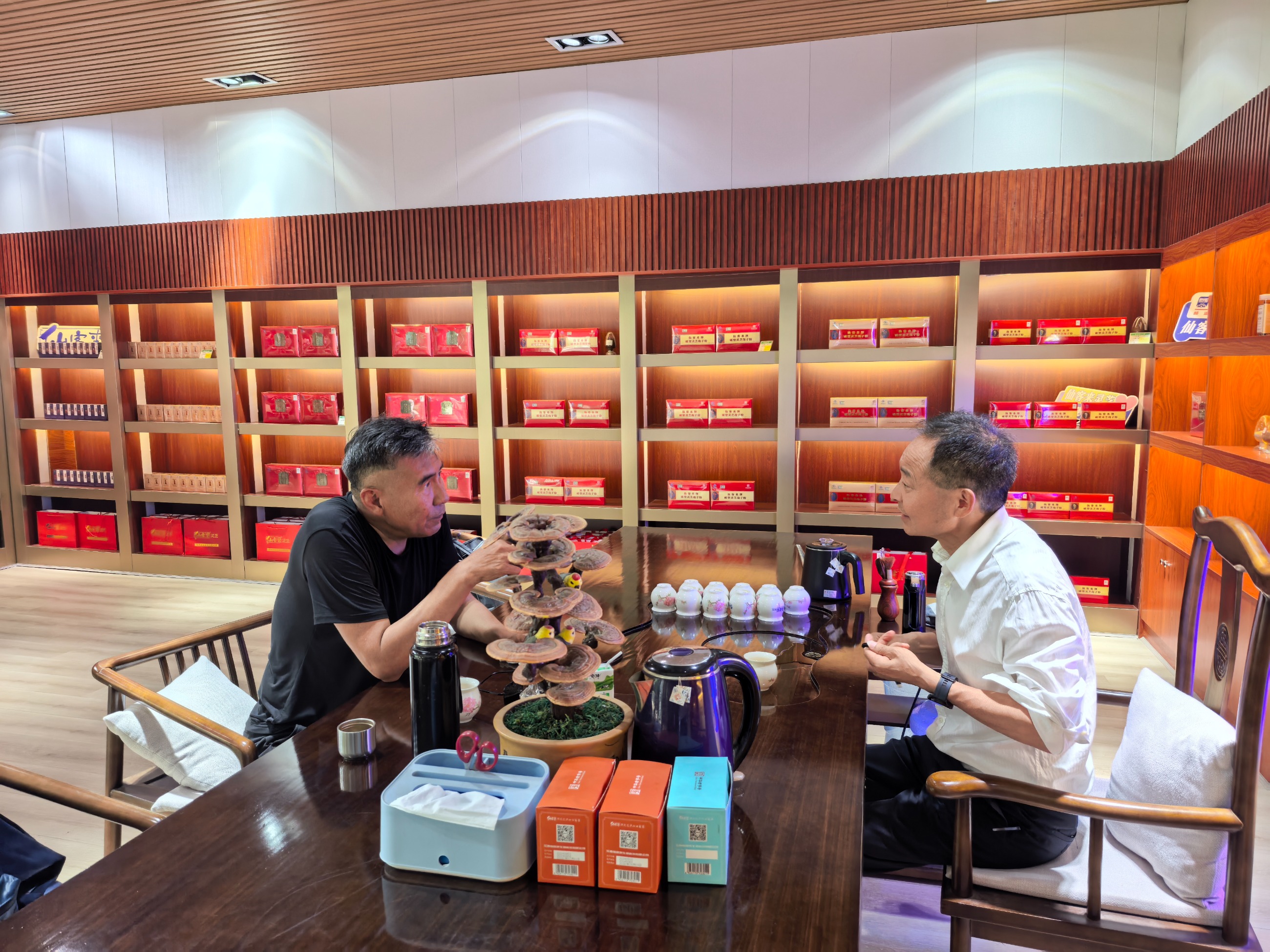 杭州亞運(yùn)會官方靈芝產(chǎn)品供應(yīng)商|杭州亞運(yùn)會官方供應(yīng)商|中國靈芝十大品牌|仙客來靈芝|仙客來靈芝破壁孢子粉|仙客來孢子油|仙客來靈芝飲片|仙客來破壁孢子粉|靈芝孢子油|孢子粉|靈芝破壁孢子粉|靈芝|中華老字號 杭州亞運(yùn)會官方靈芝產(chǎn)品供應(yīng)商|杭州亞運(yùn)會官方供應(yīng)商|中國靈芝十大品牌|仙客來靈芝|仙客來靈芝破壁孢子粉|仙客來孢子油|仙客來靈芝飲片|仙客來破壁孢子粉|靈芝孢子油|孢子粉|靈芝破壁孢子粉|靈芝|中華老字號