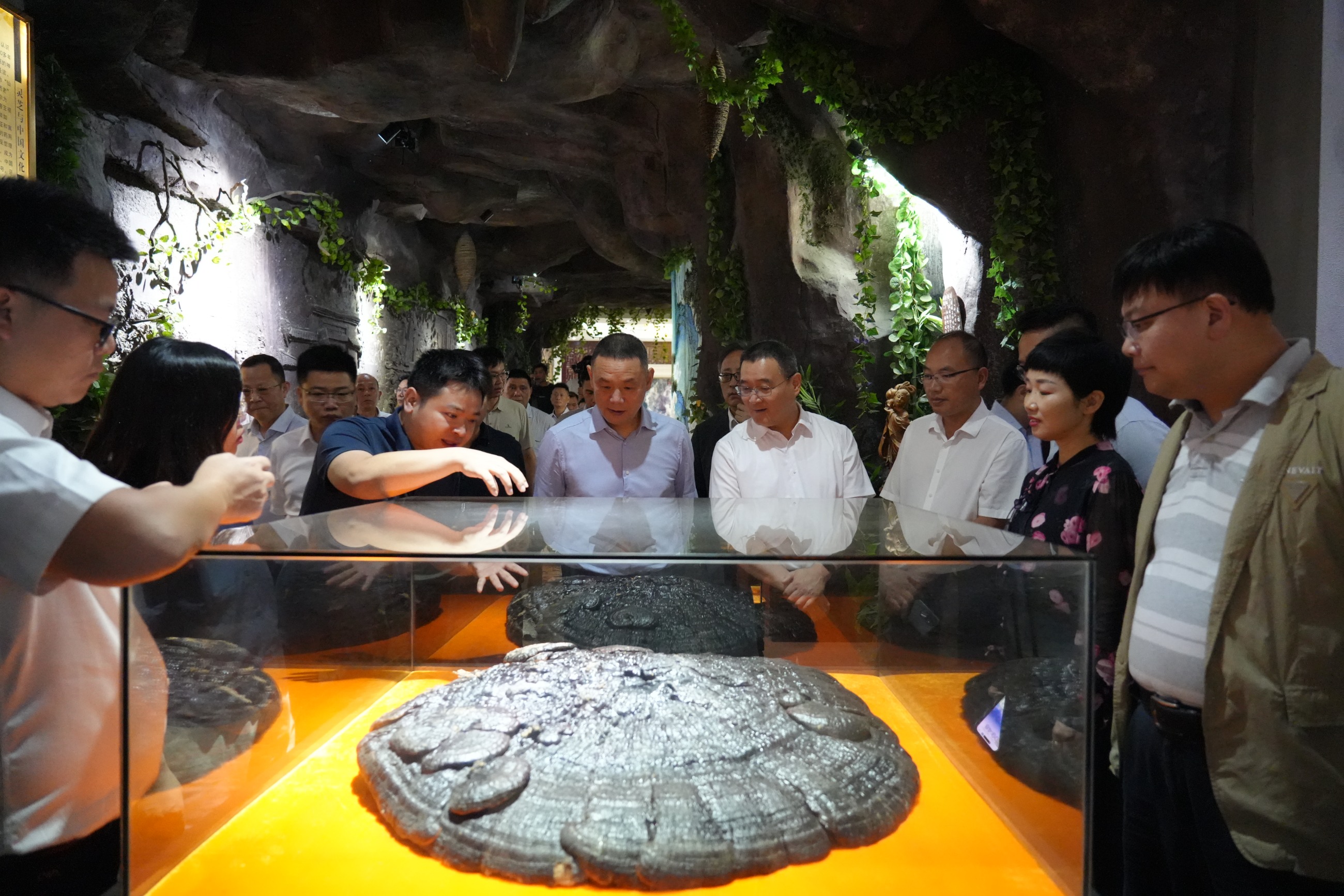 杭州亞運會官方靈芝產(chǎn)品供應商|杭州亞運會官方供應商|中國靈芝十大品牌|仙客來靈芝|仙客來靈芝破壁孢子粉|仙客來孢子油|仙客來靈芝飲片|仙客來破壁孢子粉|靈芝孢子油|孢子粉|靈芝破壁孢子粉|靈芝|中華老字號 杭州亞運會官方靈芝產(chǎn)品供應商|杭州亞運會官方供應商|中國靈芝十大品牌|仙客來靈芝|仙客來靈芝破壁孢子粉|仙客來孢子油|仙客來靈芝飲片|仙客來破壁孢子粉|靈芝孢子油|孢子粉|靈芝破壁孢子粉|靈芝|中華老字號