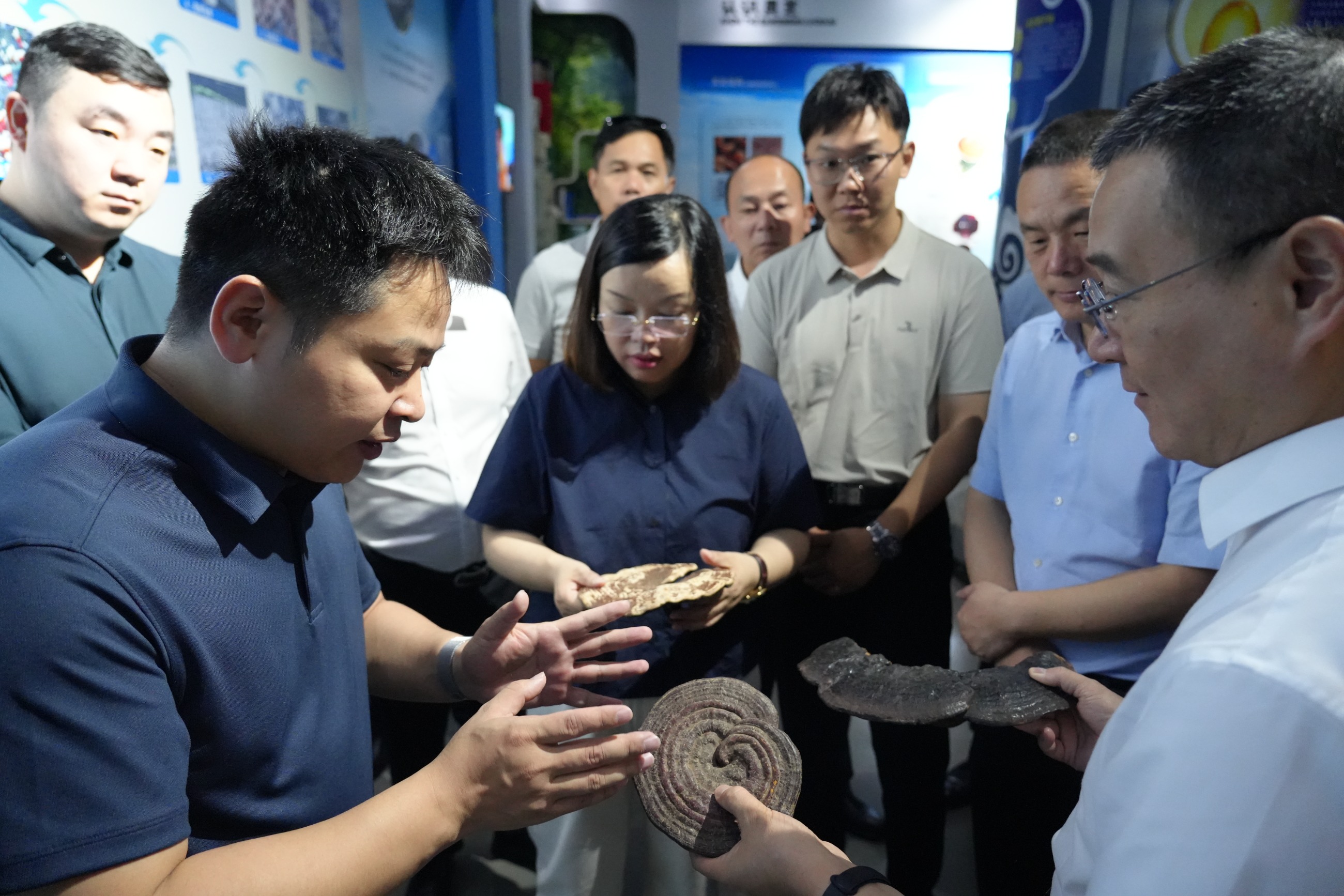 杭州亞運會官方靈芝產(chǎn)品供應商|杭州亞運會官方供應商|中國靈芝十大品牌|仙客來靈芝|仙客來靈芝破壁孢子粉|仙客來孢子油|仙客來靈芝飲片|仙客來破壁孢子粉|靈芝孢子油|孢子粉|靈芝破壁孢子粉|靈芝|中華老字號 杭州亞運會官方靈芝產(chǎn)品供應商|杭州亞運會官方供應商|中國靈芝十大品牌|仙客來靈芝|仙客來靈芝破壁孢子粉|仙客來孢子油|仙客來靈芝飲片|仙客來破壁孢子粉|靈芝孢子油|孢子粉|靈芝破壁孢子粉|靈芝|中華老字號