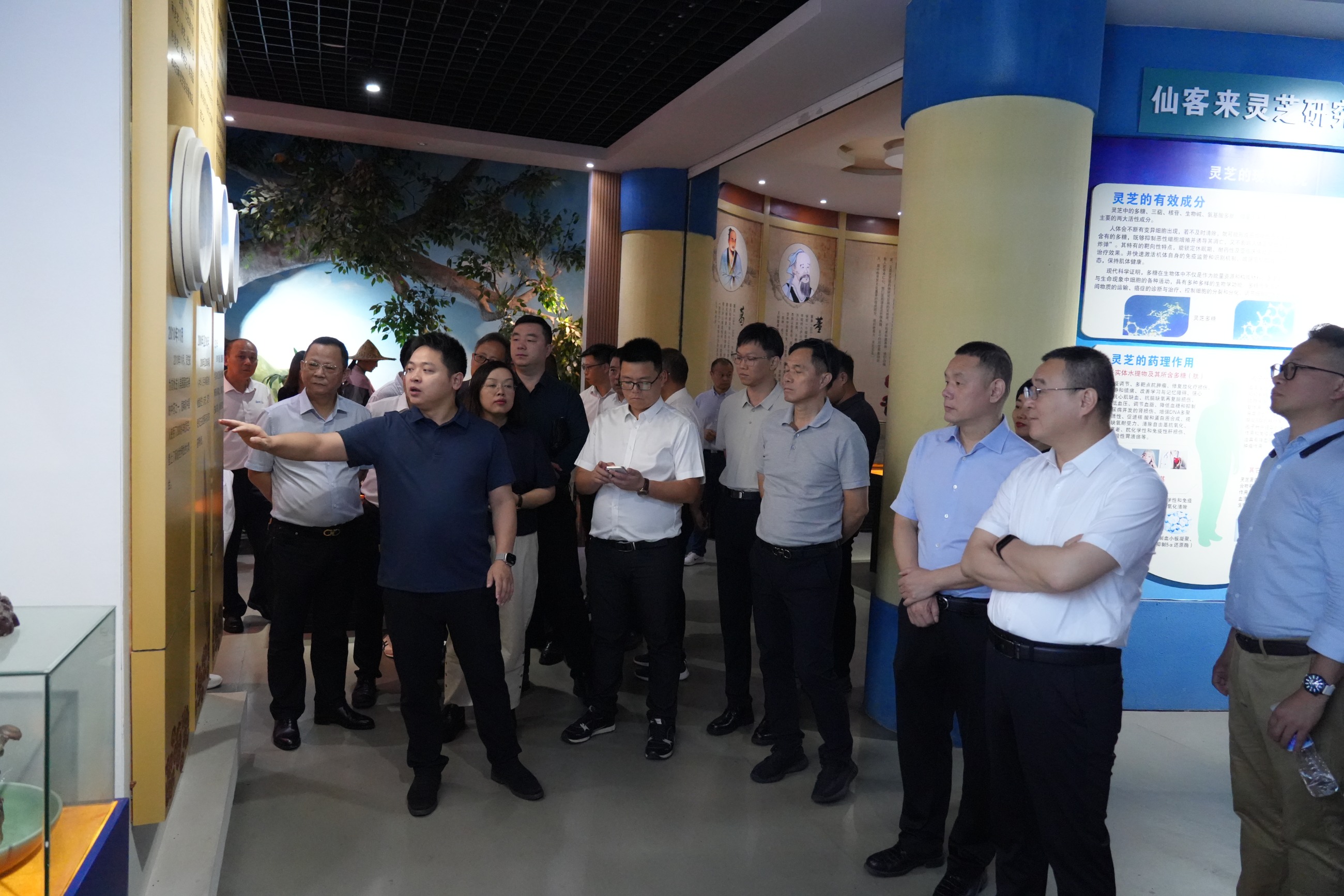 杭州亞運會官方靈芝產(chǎn)品供應商|杭州亞運會官方供應商|中國靈芝十大品牌|仙客來靈芝|仙客來靈芝破壁孢子粉|仙客來孢子油|仙客來靈芝飲片|仙客來破壁孢子粉|靈芝孢子油|孢子粉|靈芝破壁孢子粉|靈芝|中華老字號 杭州亞運會官方靈芝產(chǎn)品供應商|杭州亞運會官方供應商|中國靈芝十大品牌|仙客來靈芝|仙客來靈芝破壁孢子粉|仙客來孢子油|仙客來靈芝飲片|仙客來破壁孢子粉|靈芝孢子油|孢子粉|靈芝破壁孢子粉|靈芝|中華老字號