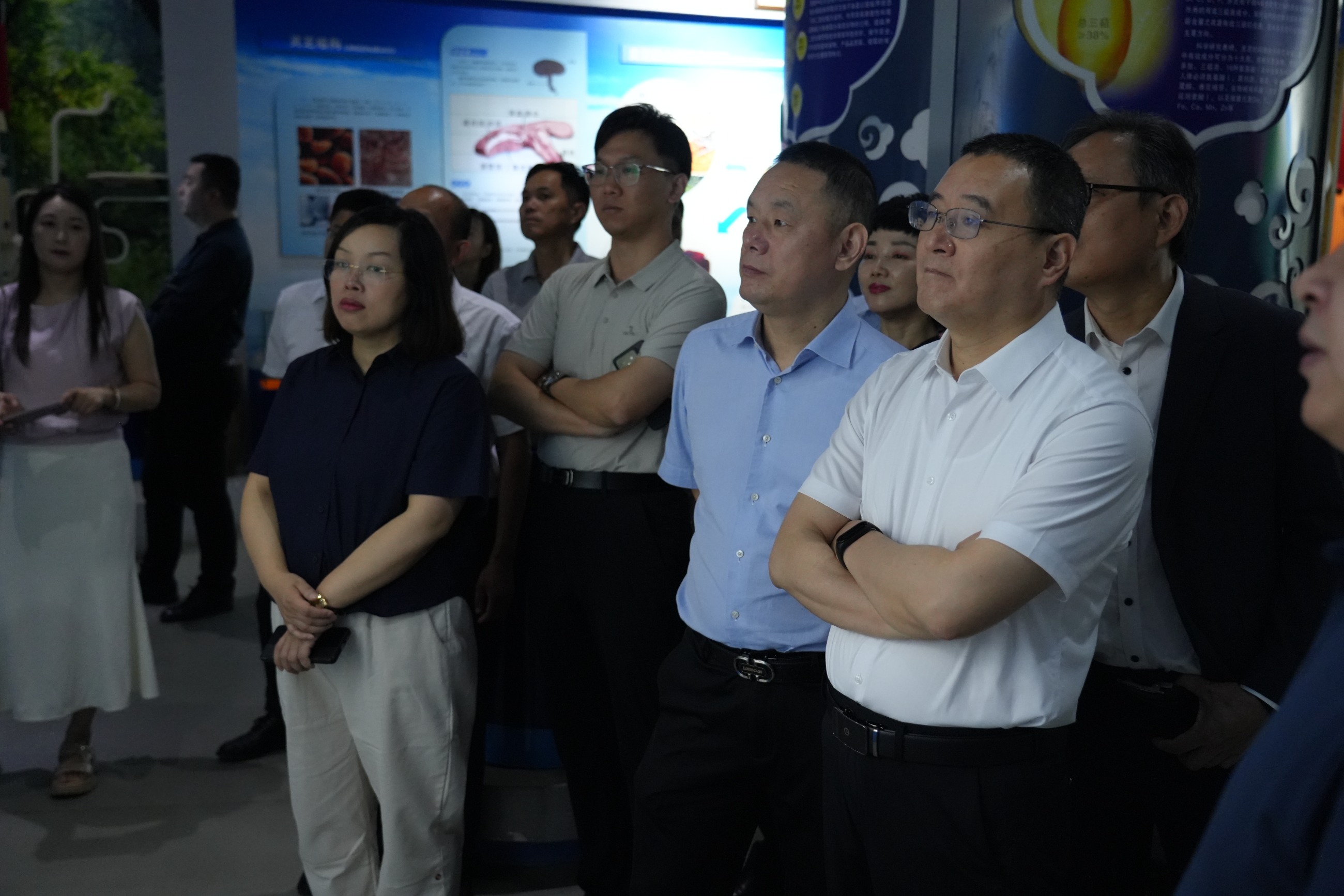 杭州亞運會官方靈芝產(chǎn)品供應商|杭州亞運會官方供應商|中國靈芝十大品牌|仙客來靈芝|仙客來靈芝破壁孢子粉|仙客來孢子油|仙客來靈芝飲片|仙客來破壁孢子粉|靈芝孢子油|孢子粉|靈芝破壁孢子粉|靈芝|中華老字號 杭州亞運會官方靈芝產(chǎn)品供應商|杭州亞運會官方供應商|中國靈芝十大品牌|仙客來靈芝|仙客來靈芝破壁孢子粉|仙客來孢子油|仙客來靈芝飲片|仙客來破壁孢子粉|靈芝孢子油|孢子粉|靈芝破壁孢子粉|靈芝|中華老字號