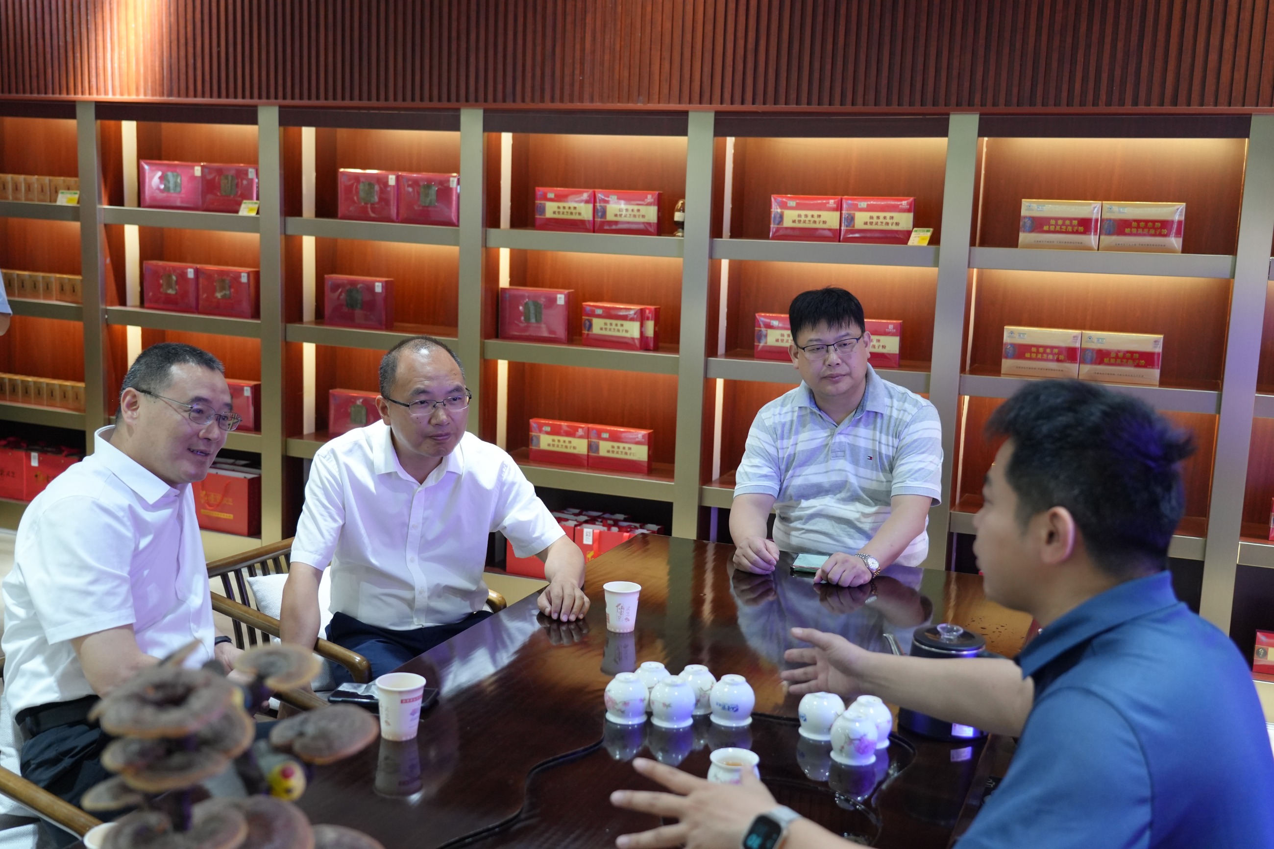 杭州亞運會官方靈芝產(chǎn)品供應商|杭州亞運會官方供應商|中國靈芝十大品牌|仙客來靈芝|仙客來靈芝破壁孢子粉|仙客來孢子油|仙客來靈芝飲片|仙客來破壁孢子粉|靈芝孢子油|孢子粉|靈芝破壁孢子粉|靈芝|中華老字號 杭州亞運會官方靈芝產(chǎn)品供應商|杭州亞運會官方供應商|中國靈芝十大品牌|仙客來靈芝|仙客來靈芝破壁孢子粉|仙客來孢子油|仙客來靈芝飲片|仙客來破壁孢子粉|靈芝孢子油|孢子粉|靈芝破壁孢子粉|靈芝|中華老字號