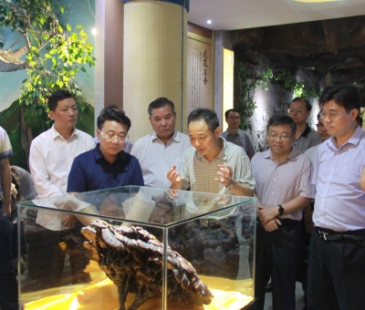 “降成本，優(yōu)環(huán)境”助企業(yè)騰飛——江西省政協(xié)副主席率團調研仙客來！