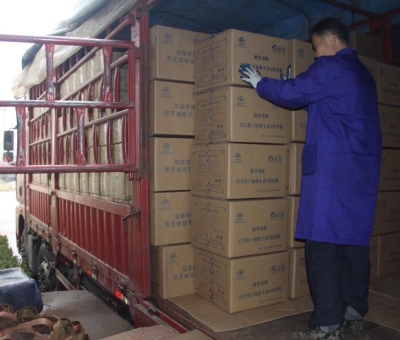 【4天加班15次缺貨】只為人皆有“芝”！