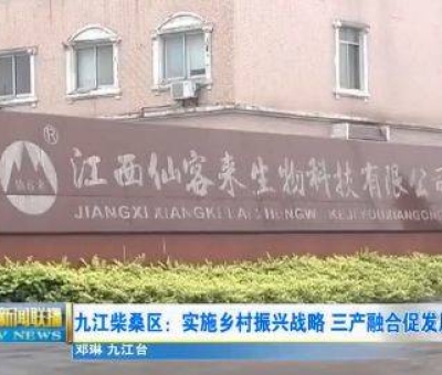 中國(guó)人只需要“別具”，缺失了“匠心”！