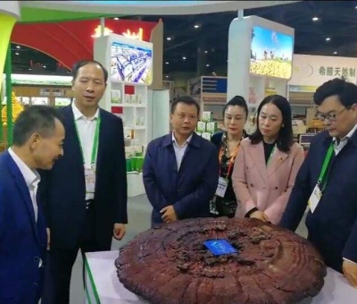 仙客來綠色有機(jī)靈芝在第十七屆中國國際農(nóng)產(chǎn)品交易會(huì)一展風(fēng)采