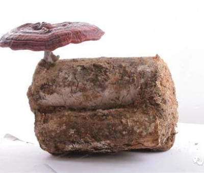 小滿時節(jié)脾胃失調(diào)，如何養(yǎng)生才健康？