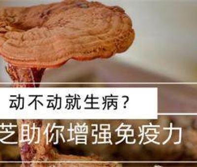 冬病夏治-如何調(diào)養(yǎng)身體？