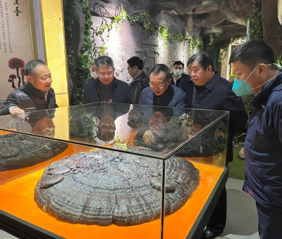 景德鎮(zhèn)市原副市長徐耀純等蒞臨仙客來公司考察調研